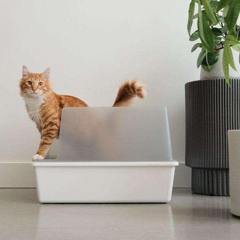 Cubby Litter Box