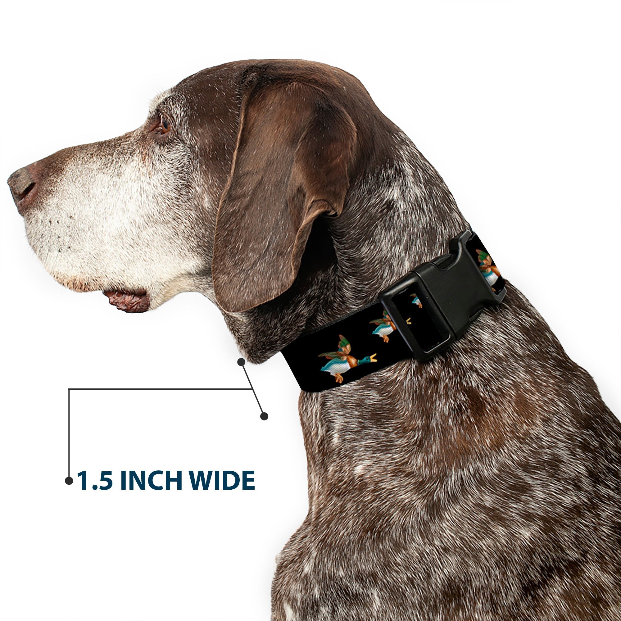 Plastic Clip Collar - Flying Mallards Black