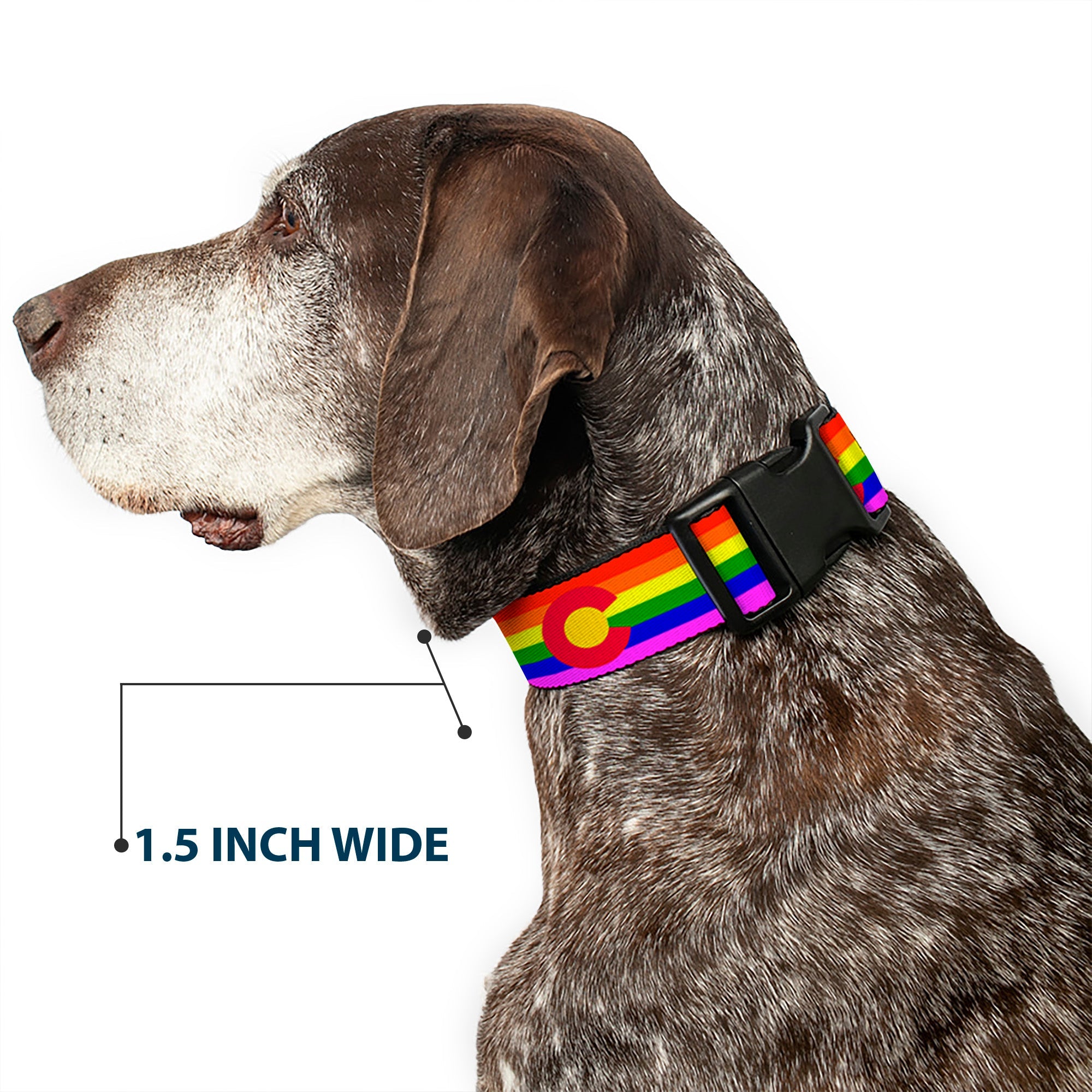 Plastic Clip Collar - Colorado Flags2 Pride