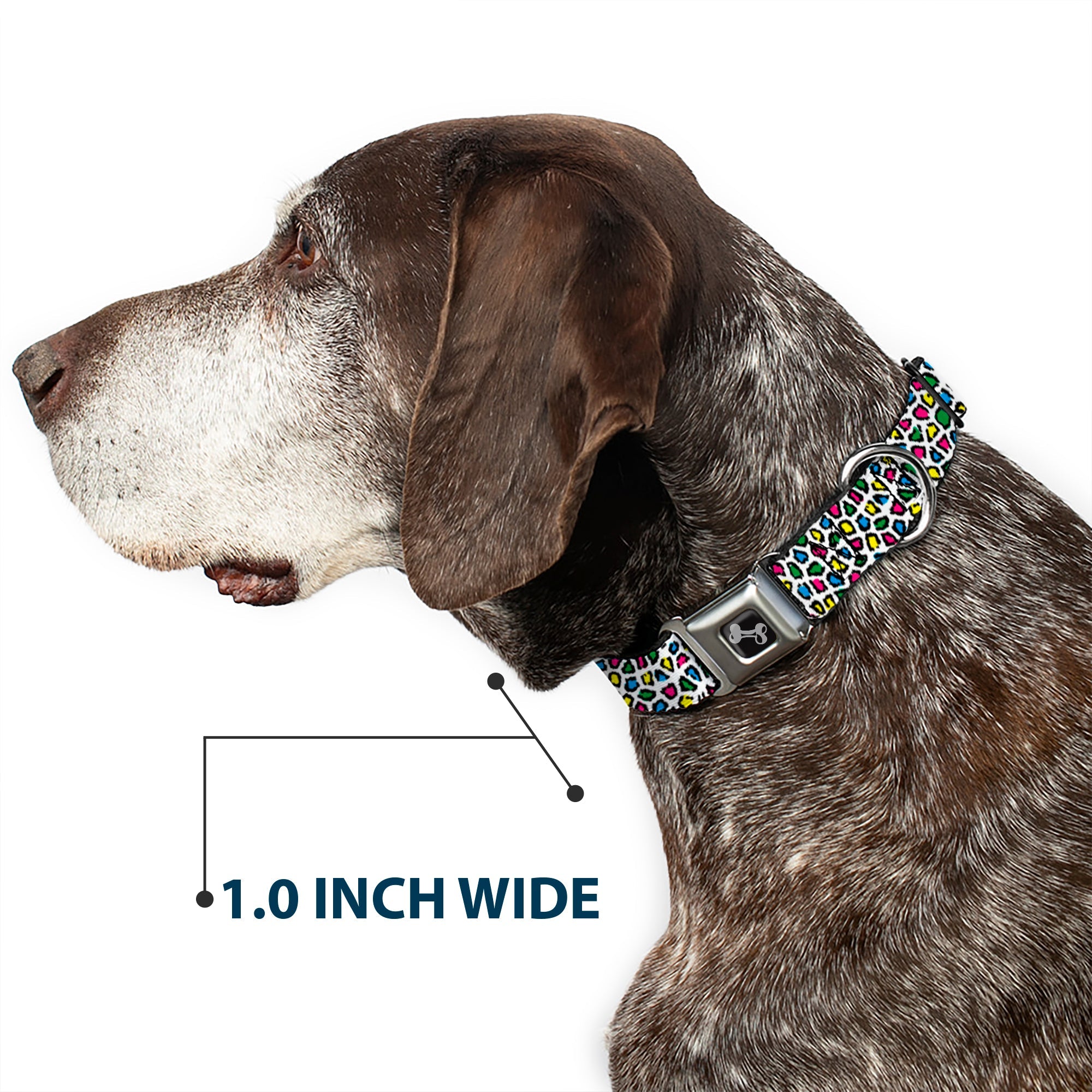 Dog Bone Seatbelt Buckle Collar - Leopard White/Multi Color