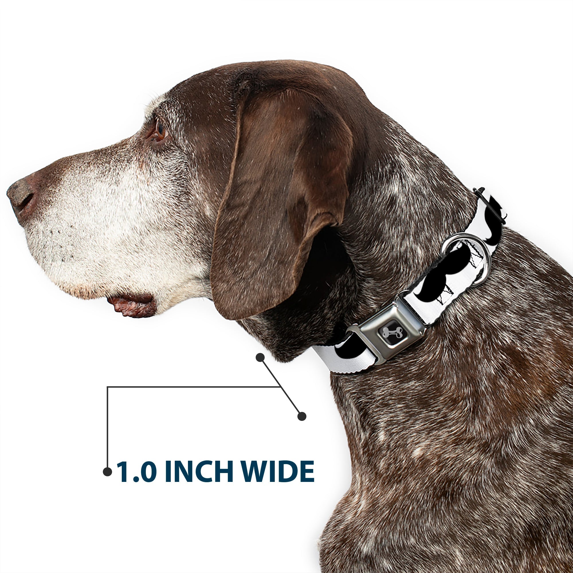 Dog Bone Seatbelt Buckle Collar - Mustaches White/Black