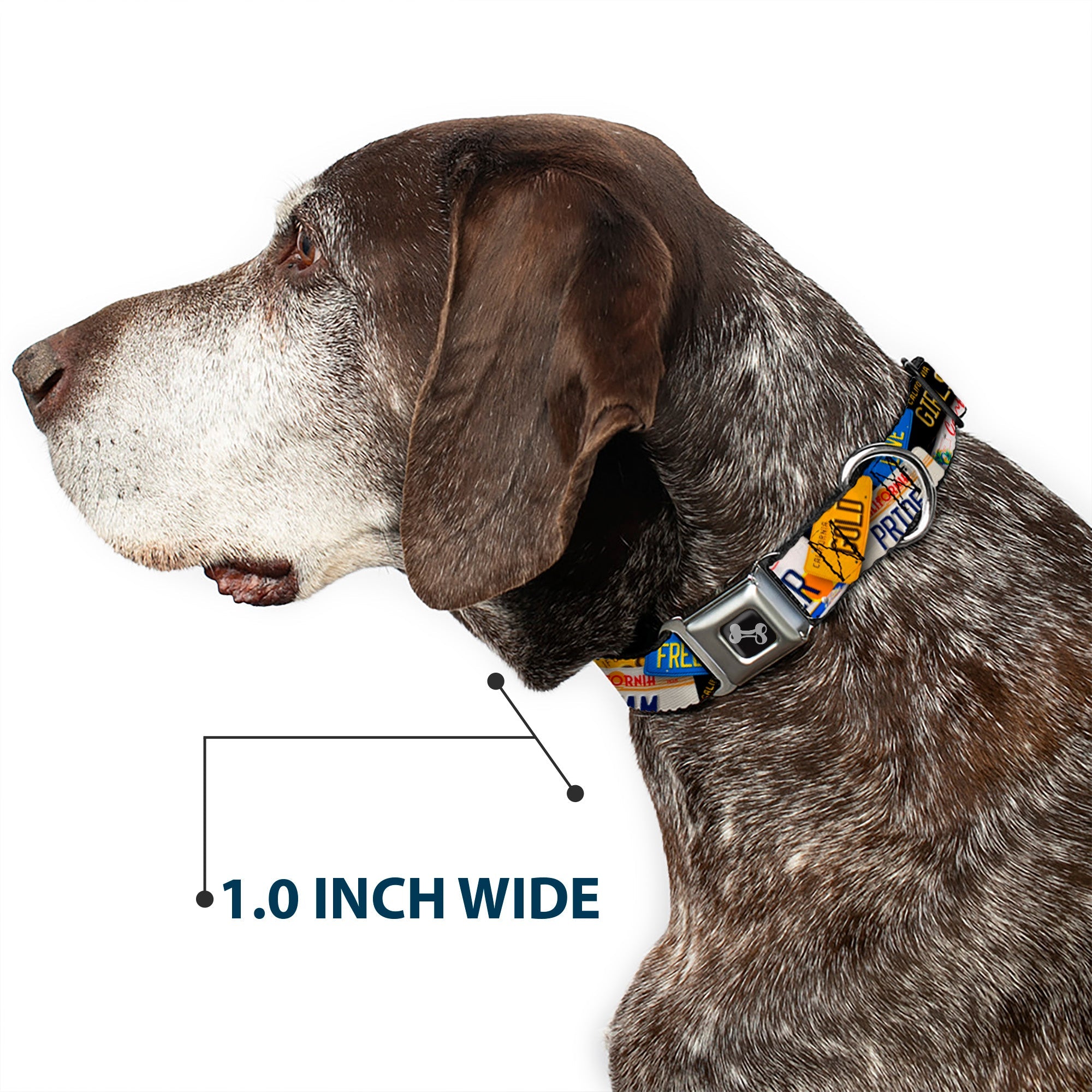 Dog Bone Seatbelt Buckle Collar - Cali License Plates Stacked