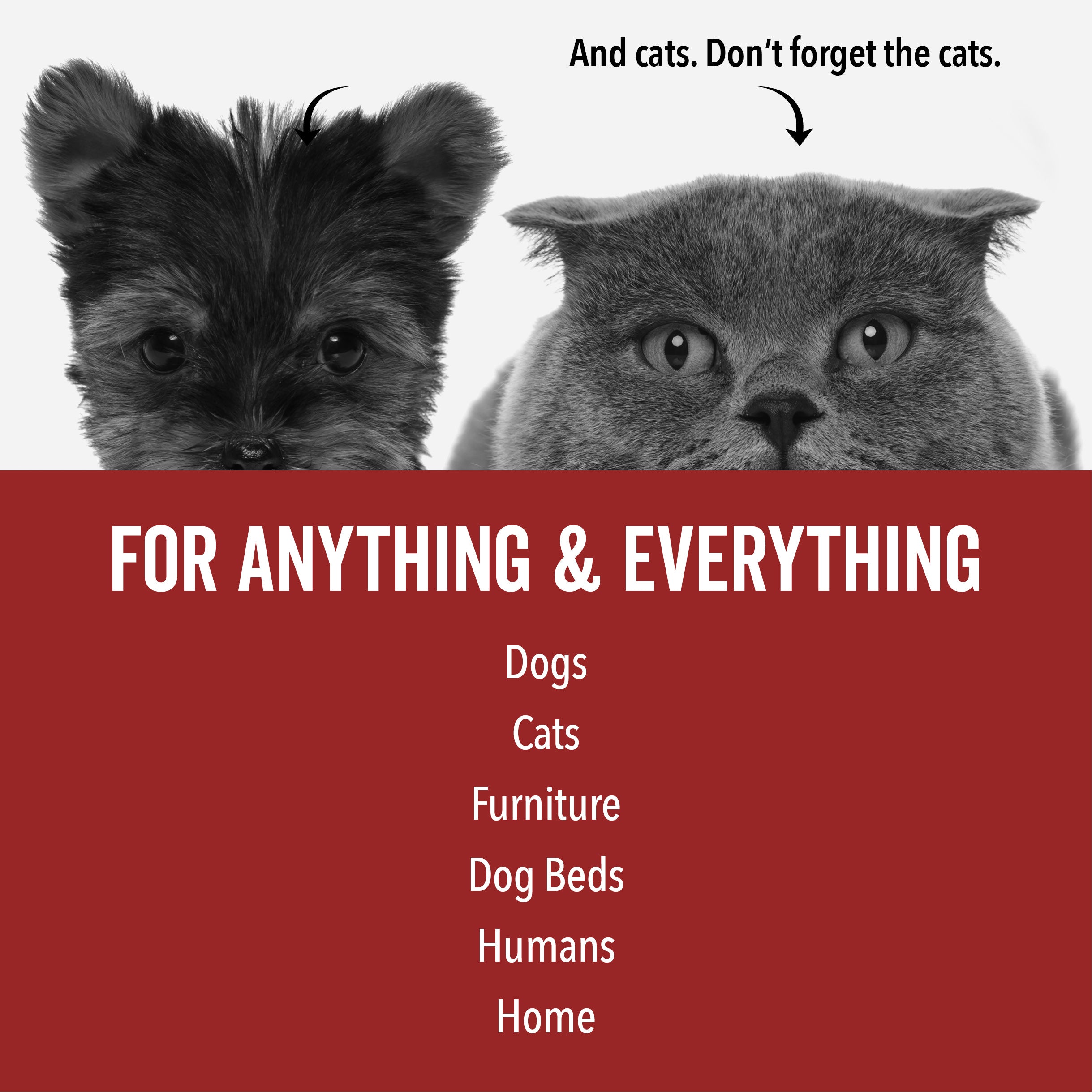 DOGDAYS Dog Deodorizing Spray