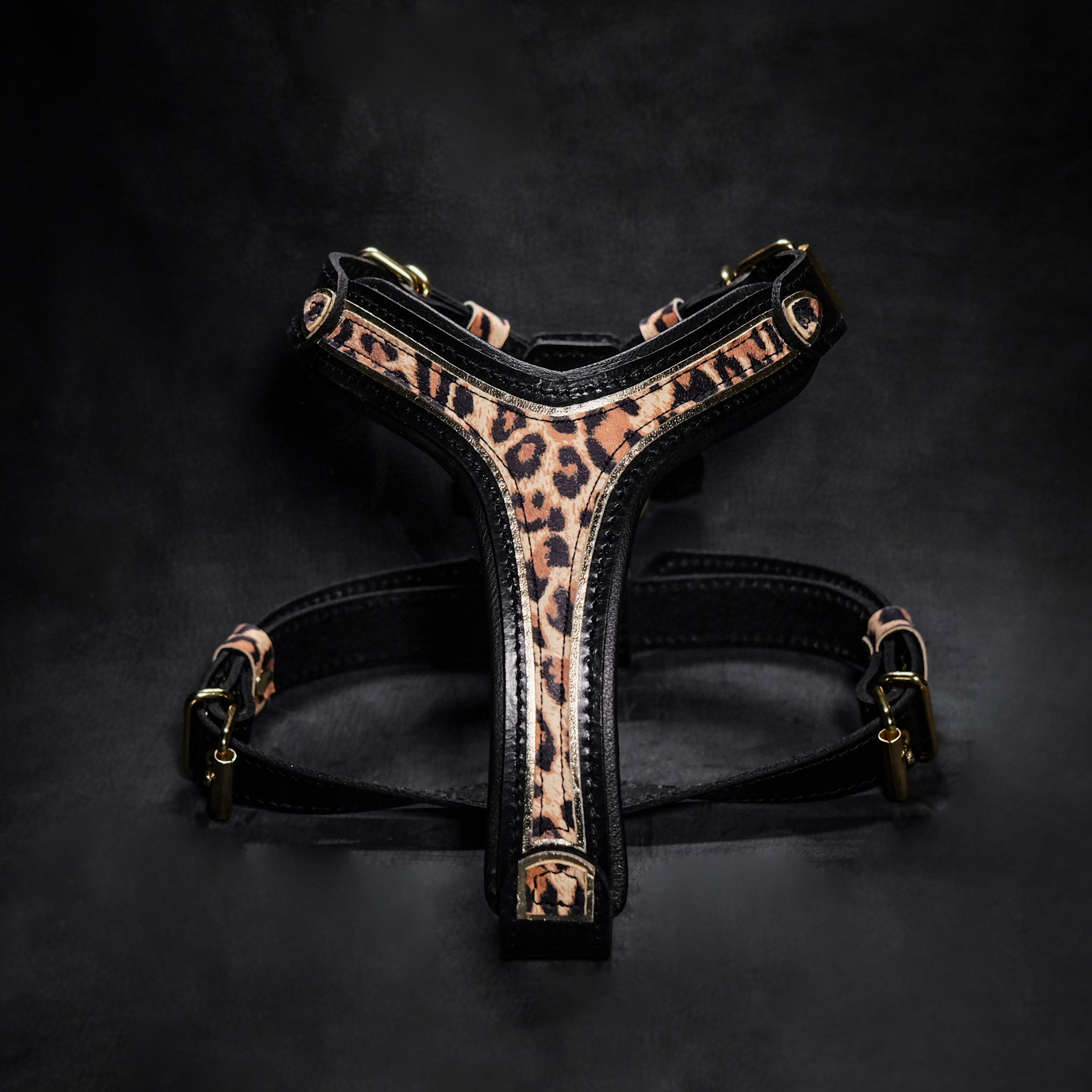 The Leopard Harness Small to Medium Size