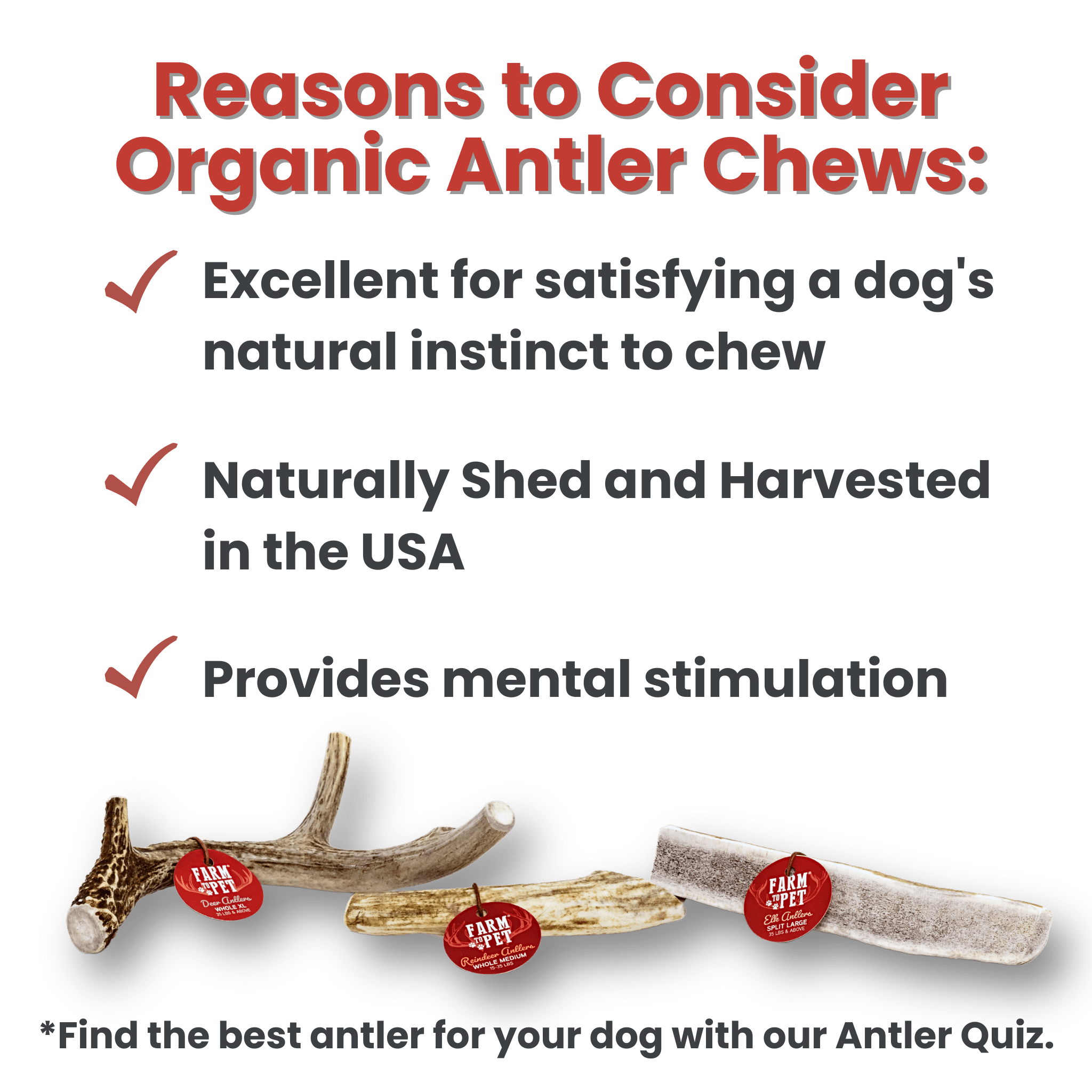 Split Elk Antlers for Dogs | All-Natural Antler Dog Chews