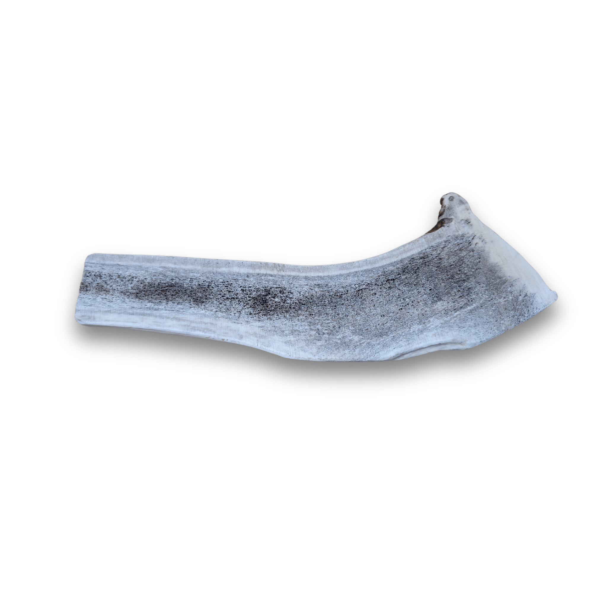 Split Elk Antlers for Dogs | All-Natural Antler Dog Chews