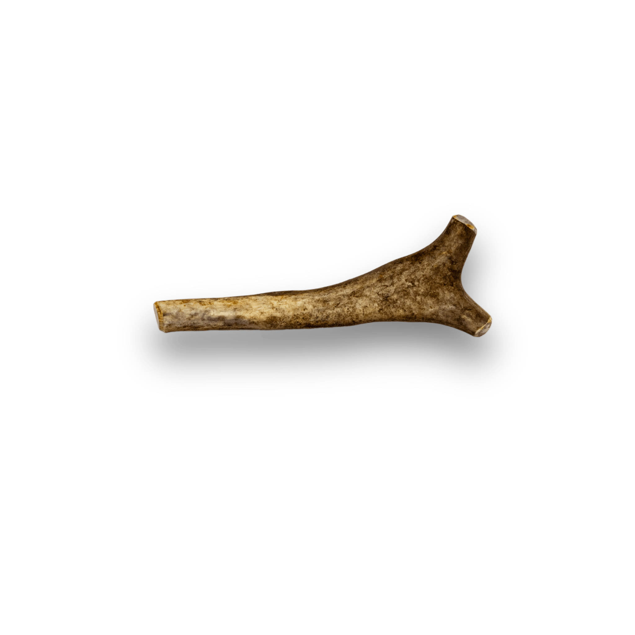 Split Reindeer Antlers for Dogs