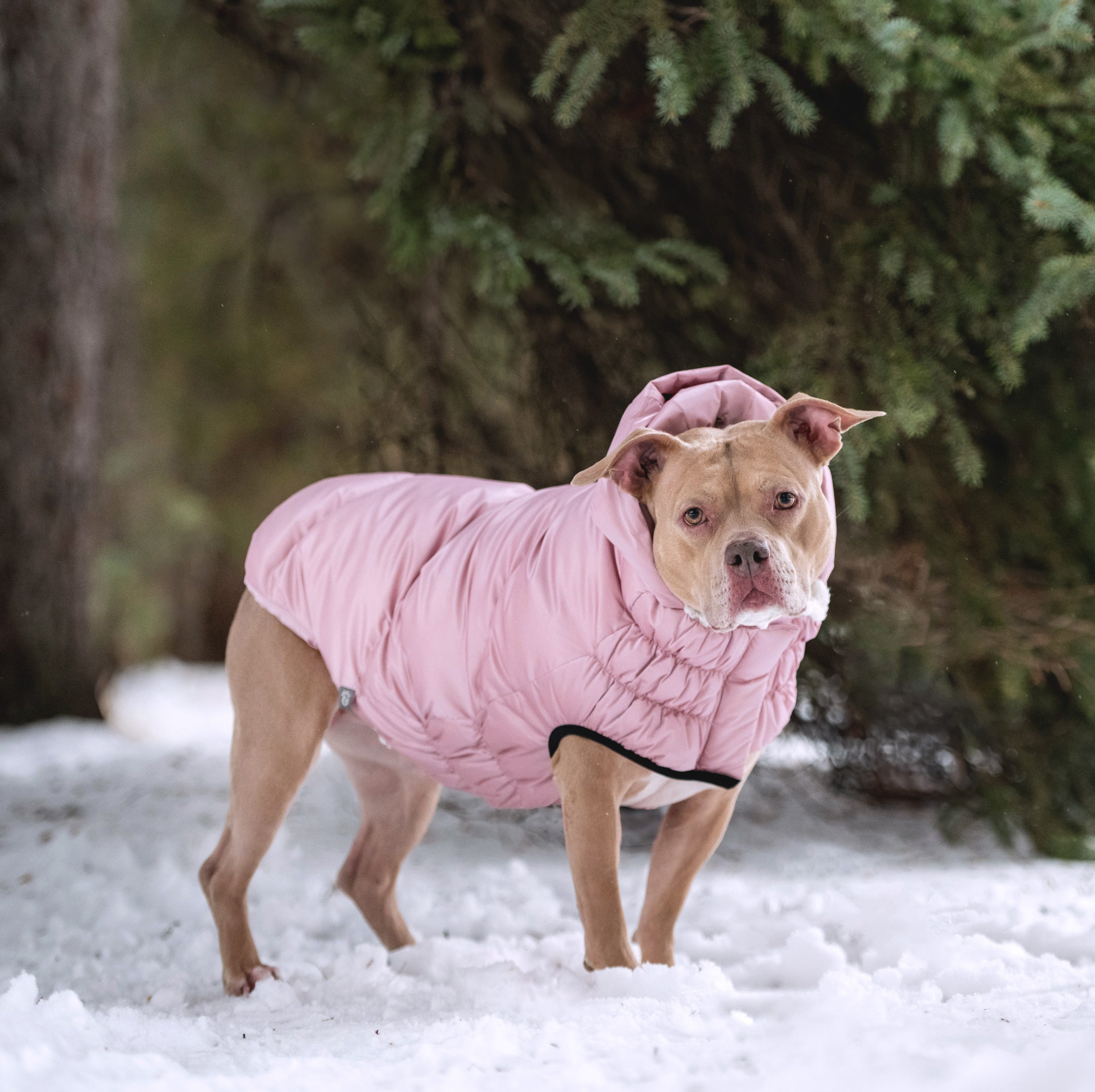 Lunar Glow Parka