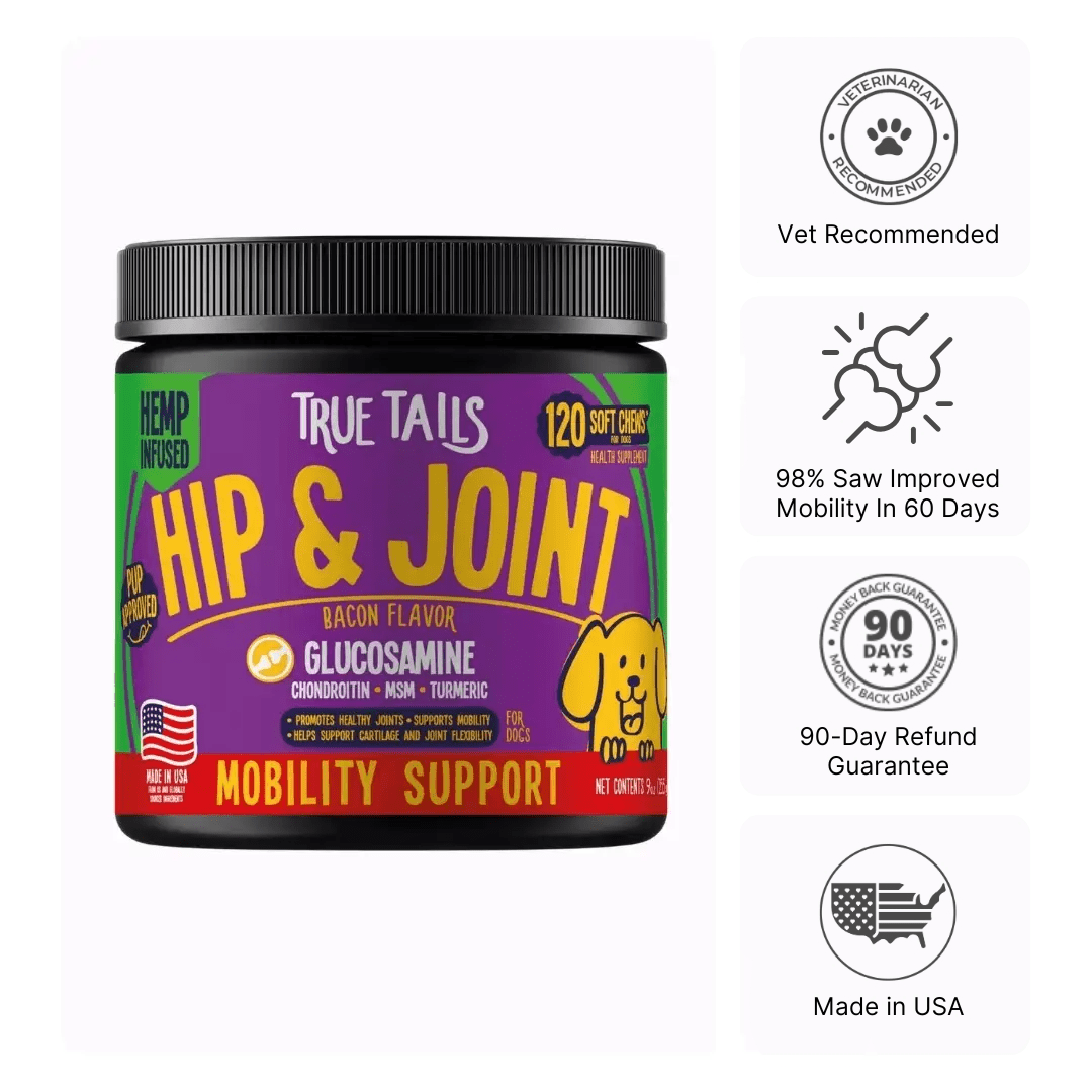 Hip & Joint With Hemp For Dogs 9oz Jar (120 count)