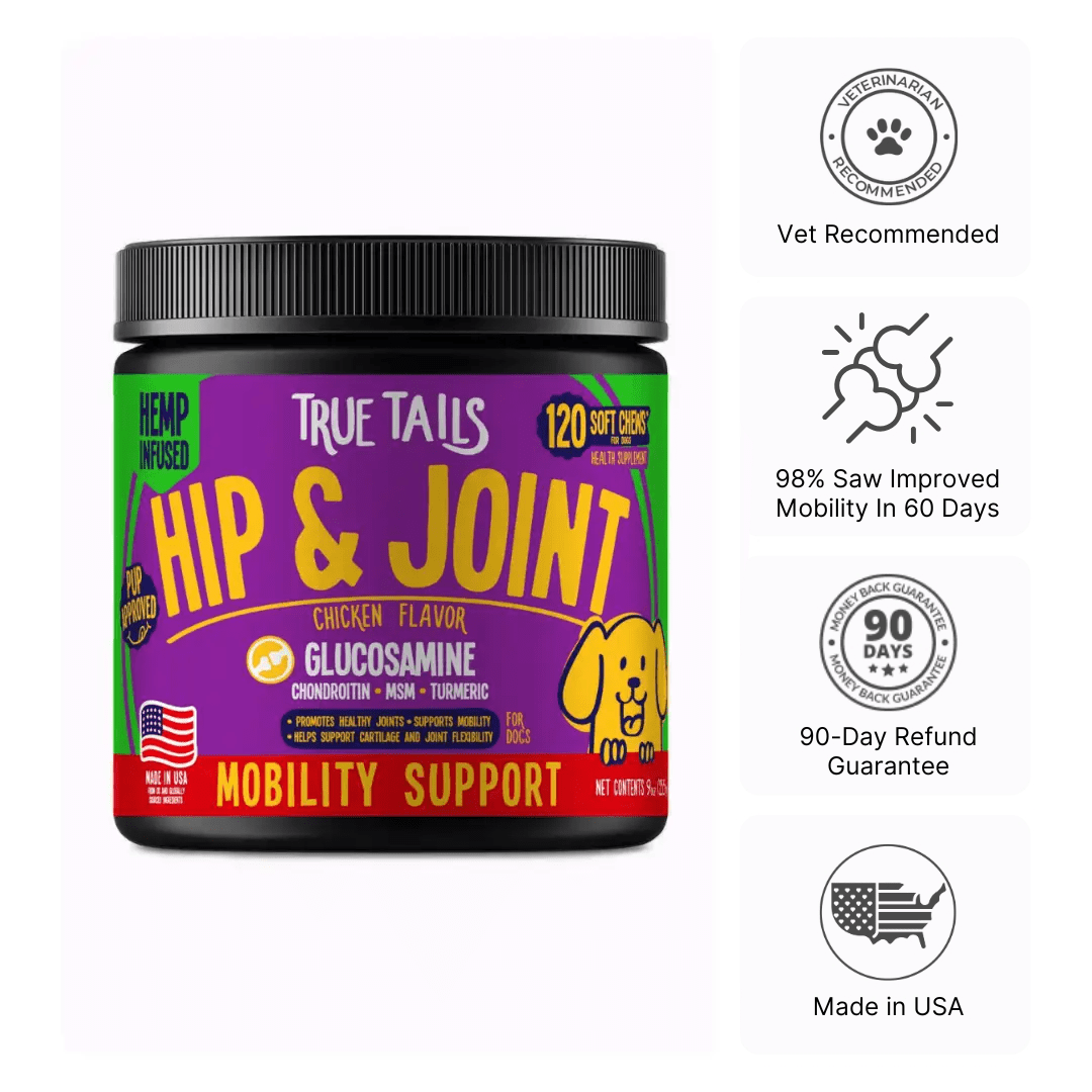 Hip & Joint With Hemp For Dogs 9oz Jar (120 count)