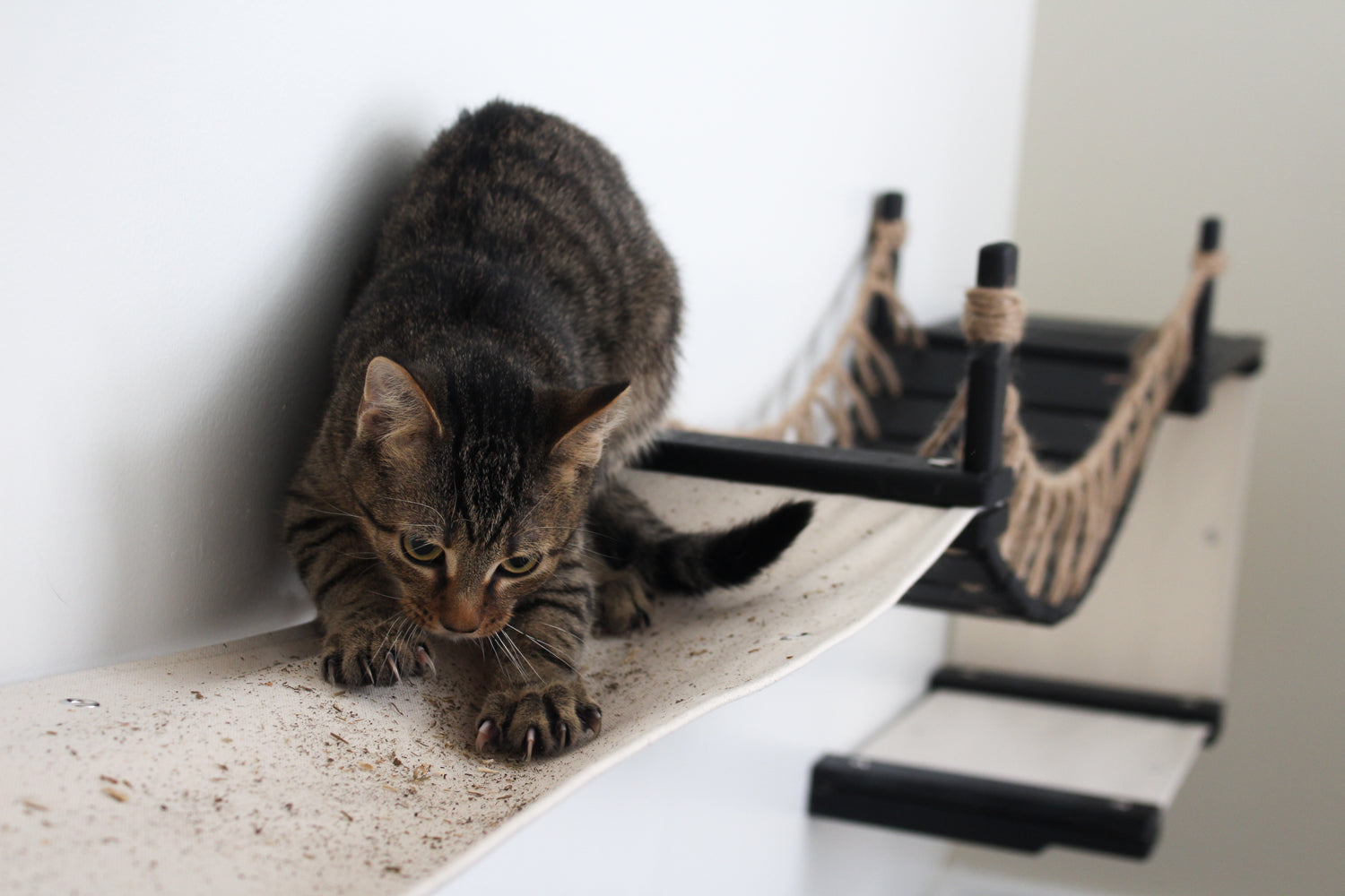 The Canyon: Cat Tree/Condo for Multiple Cats - by Catastrophic Creations