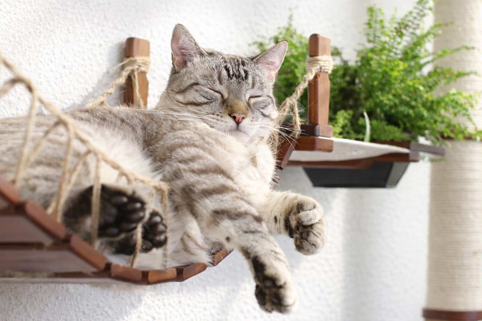 The Juggernaut (Wall-Mounted Cat Tree/Condo) - by Catastrophic Creations