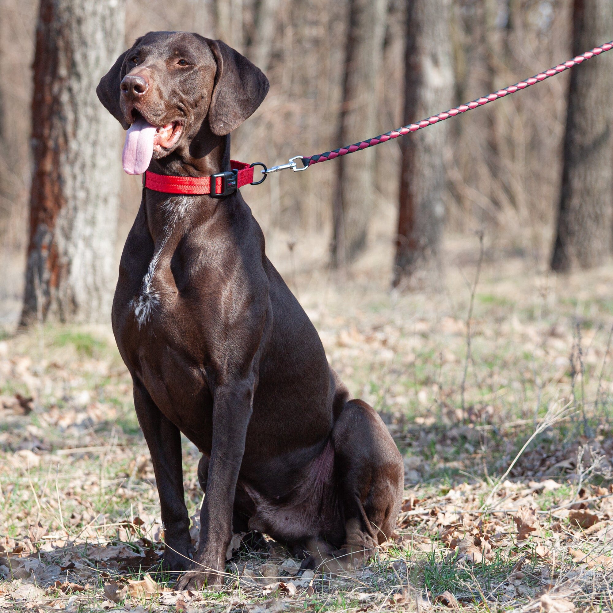 Soft Leather Dual-Color Braided Round Lead