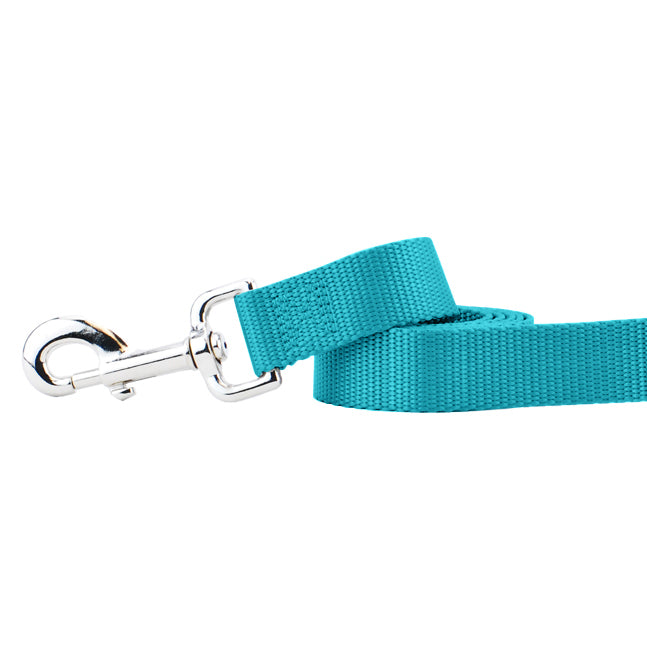 Teal Nylon Dog Leash