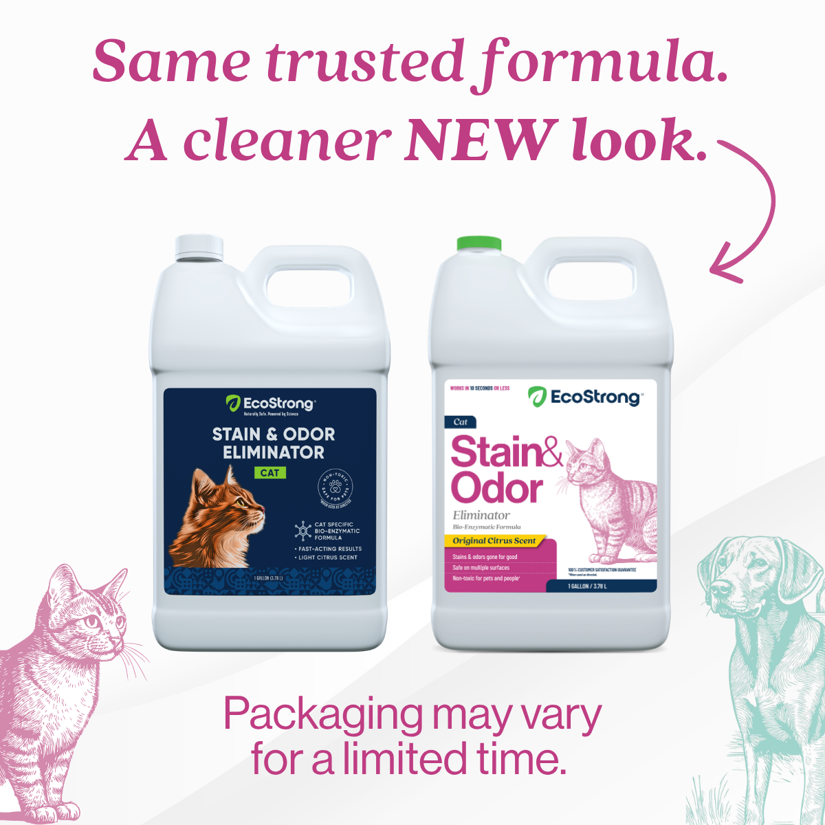 Cat Stain and Odor Eliminator