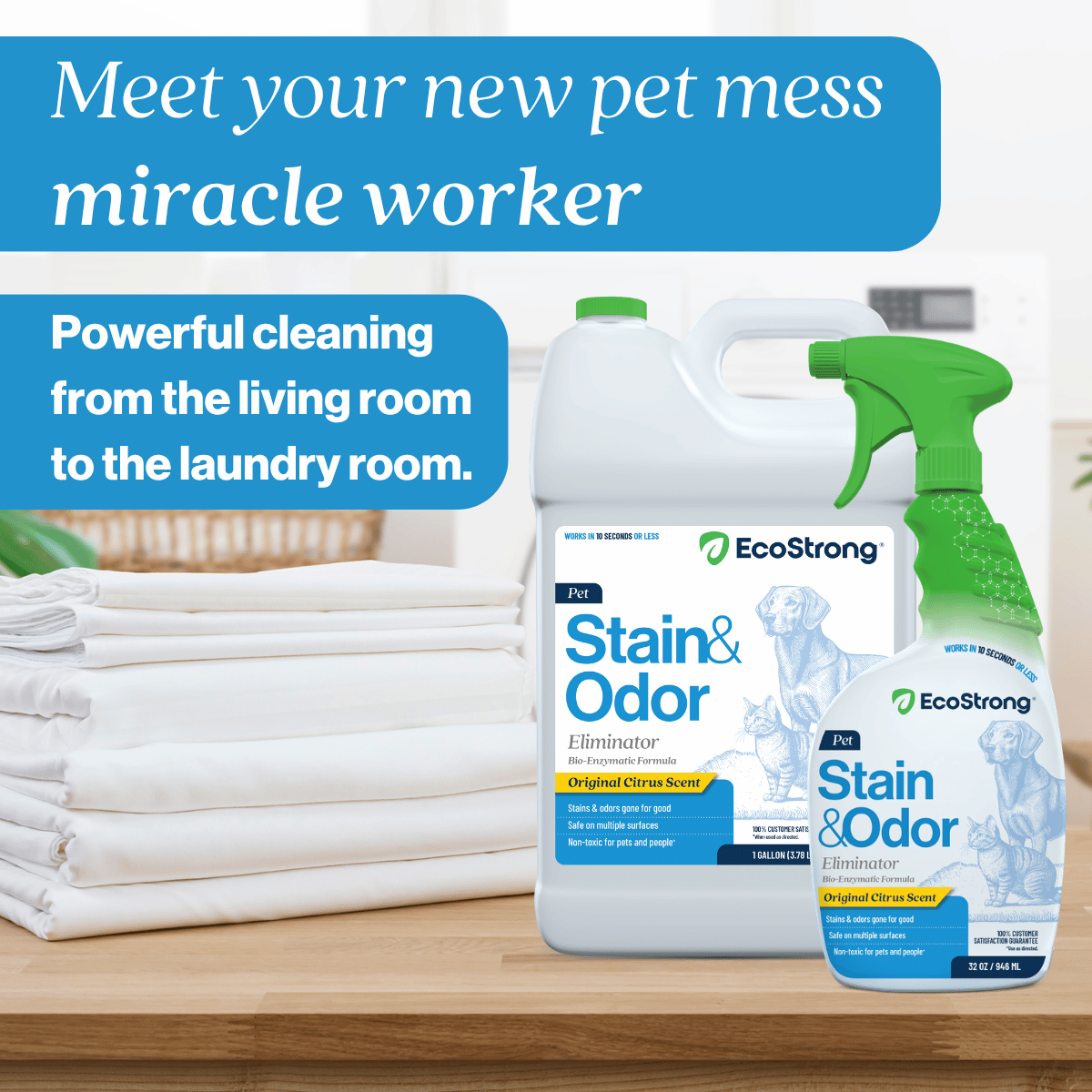 Pet Stain and Odor Eliminator