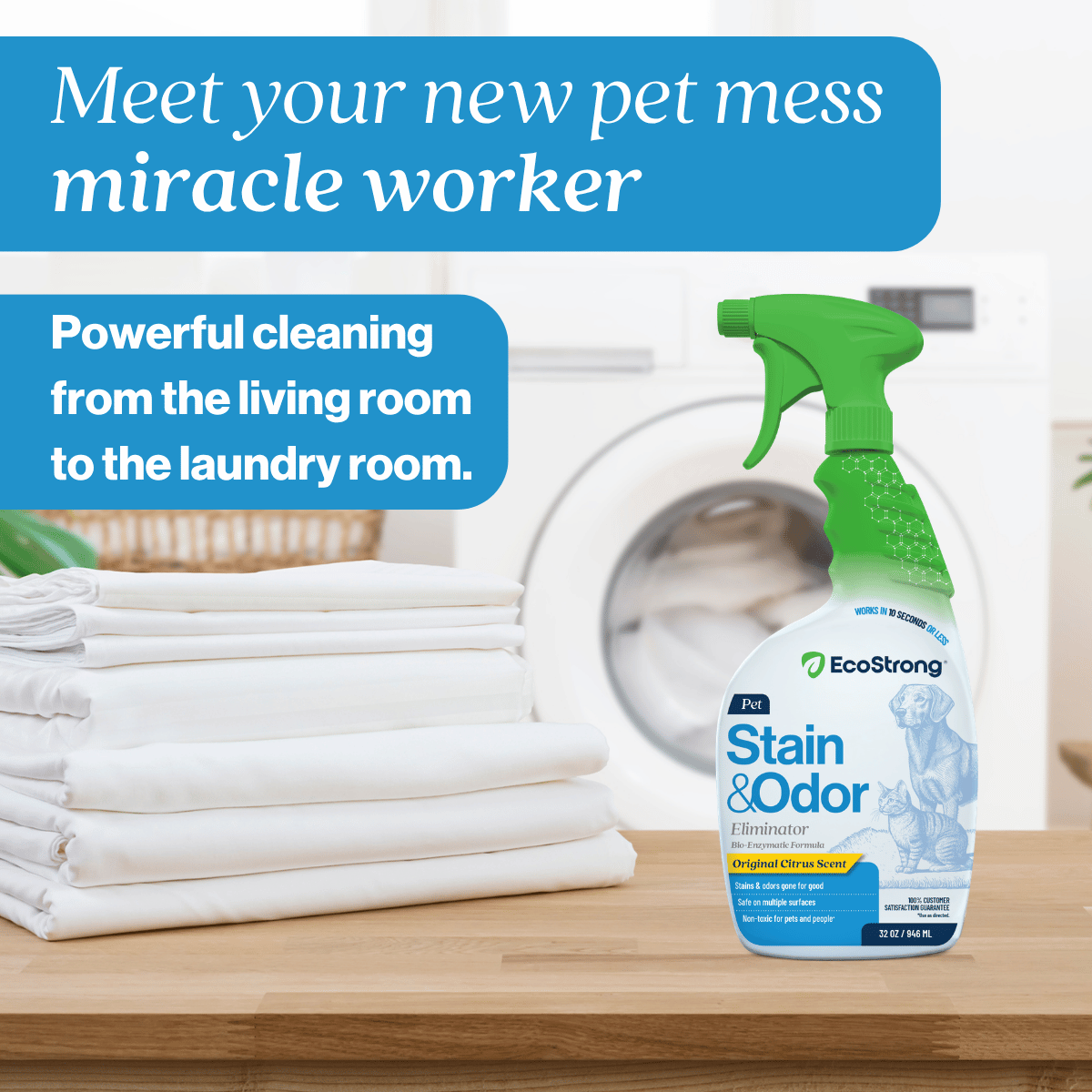 Pet Stain and Odor Eliminator
