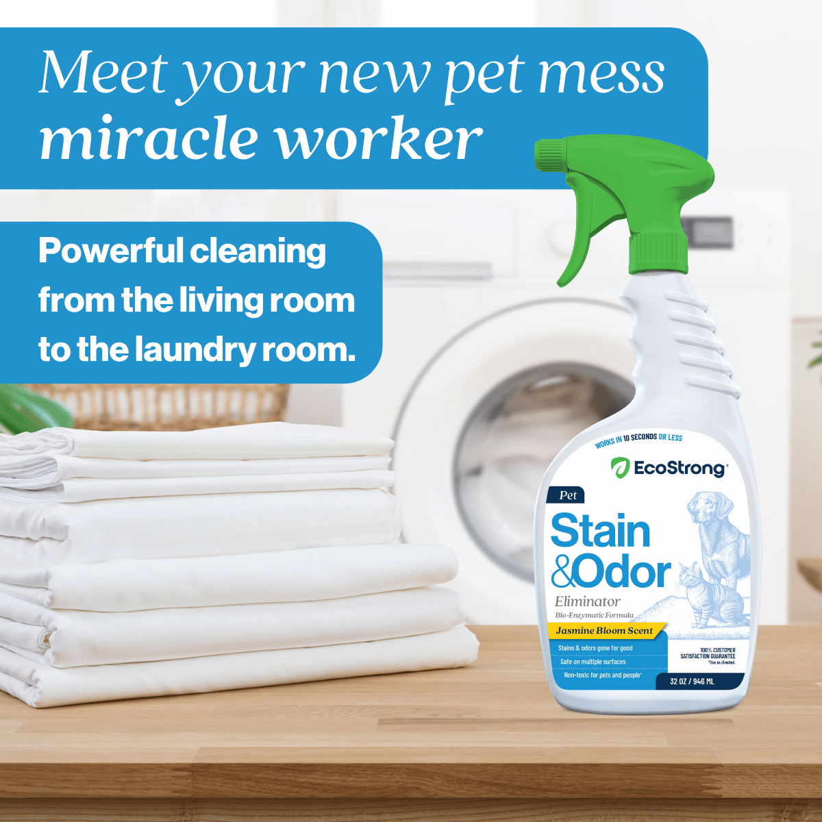 Pet Stain and Odor Eliminator