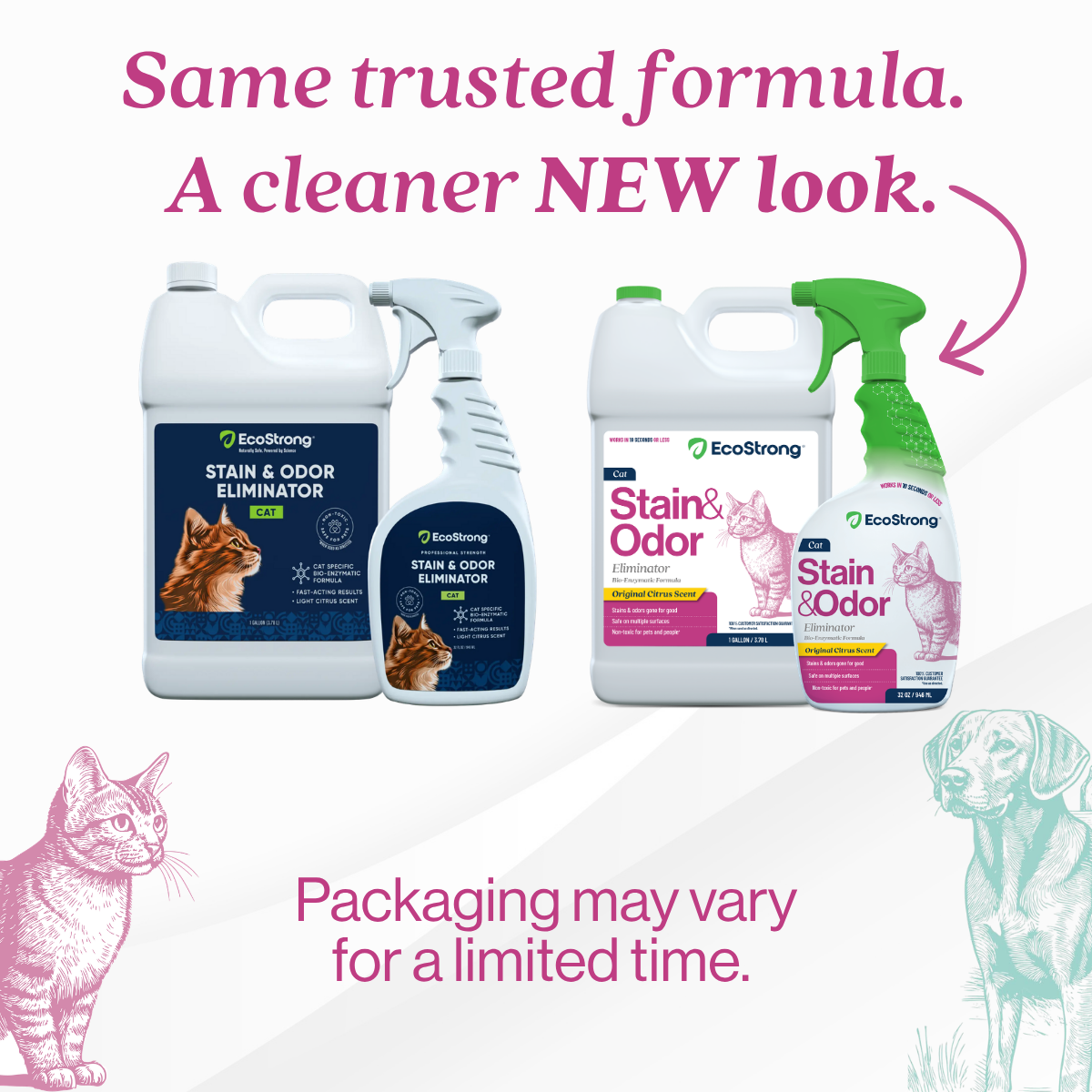 Cat Stain and Odor Eliminator