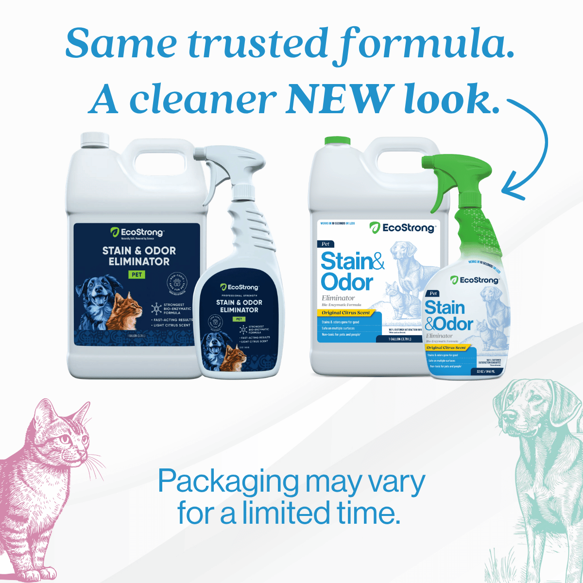 Pet Stain and Odor Eliminator