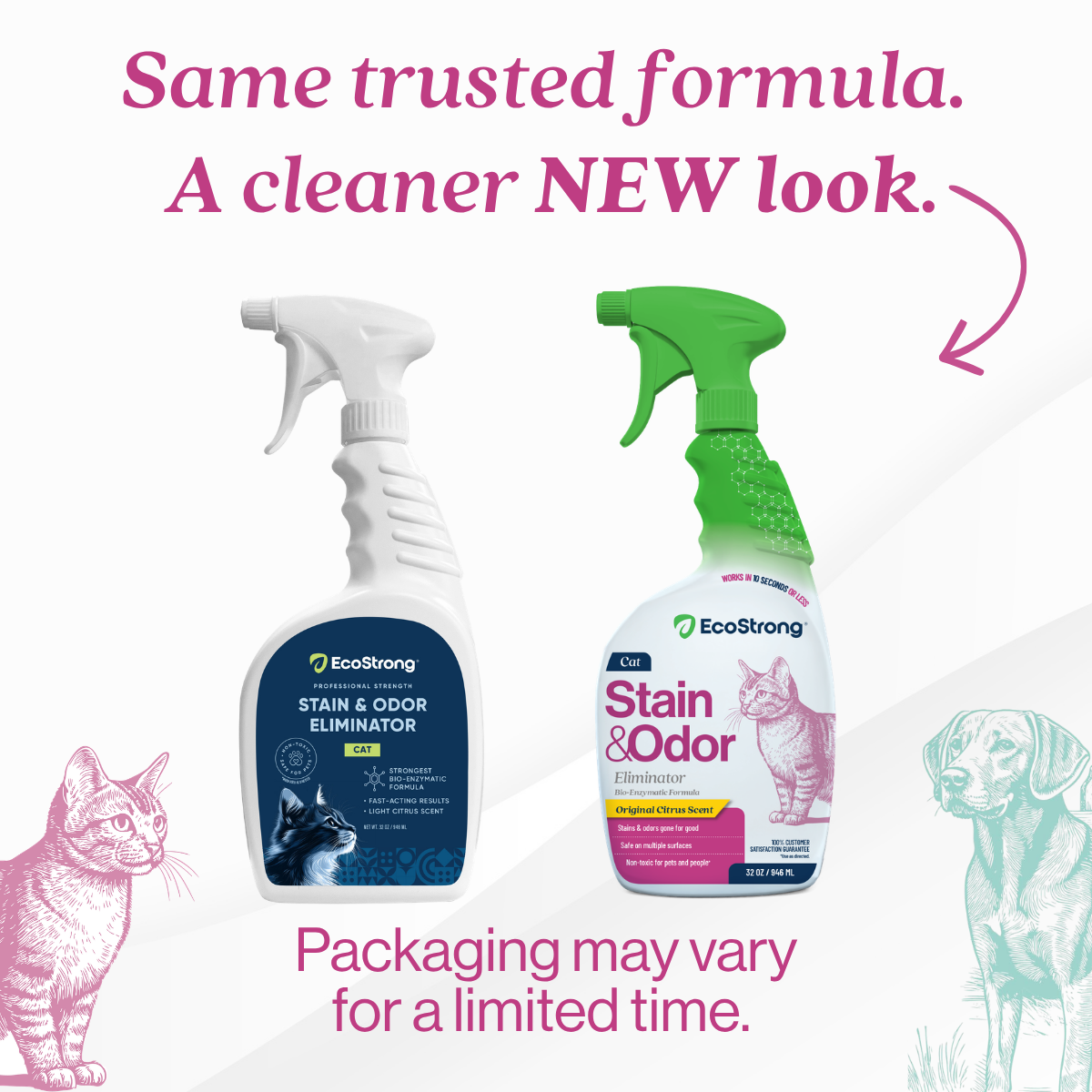 Cat Stain and Odor Eliminator