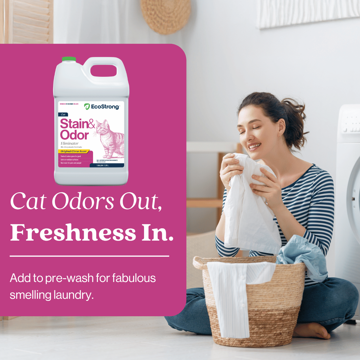 Cat Stain and Odor Eliminator