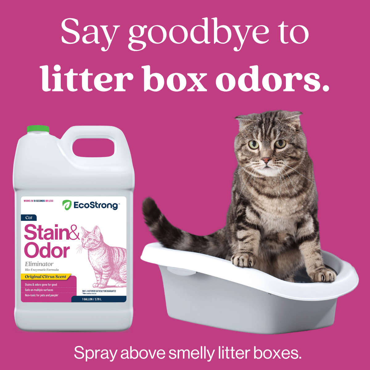 Cat Stain and Odor Eliminator