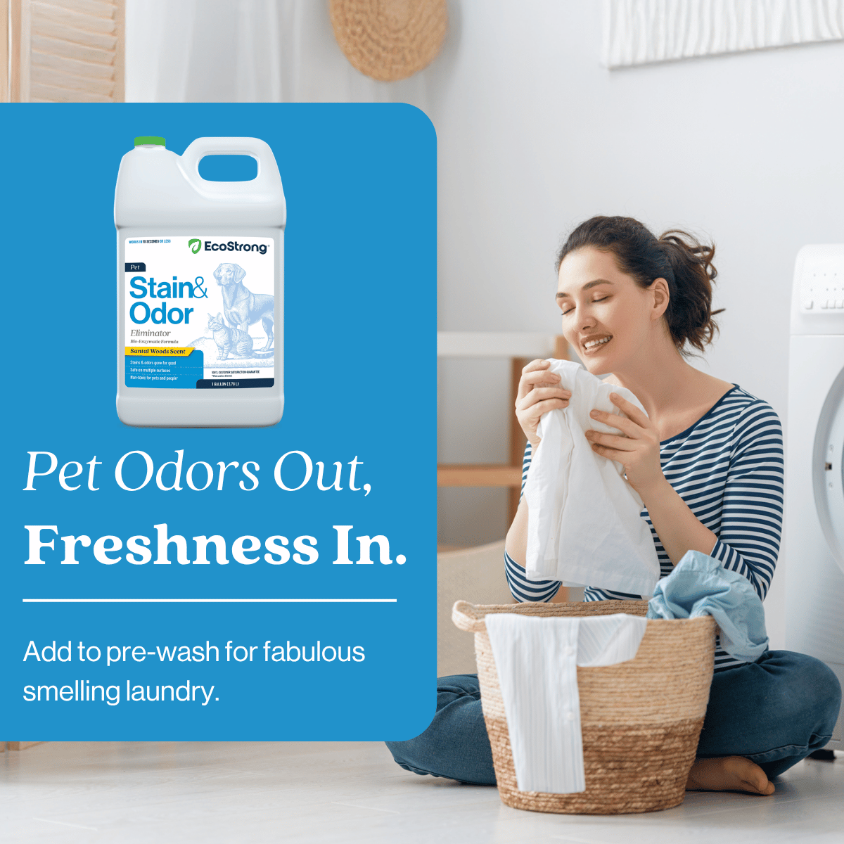 Pet Stain and Odor Eliminator