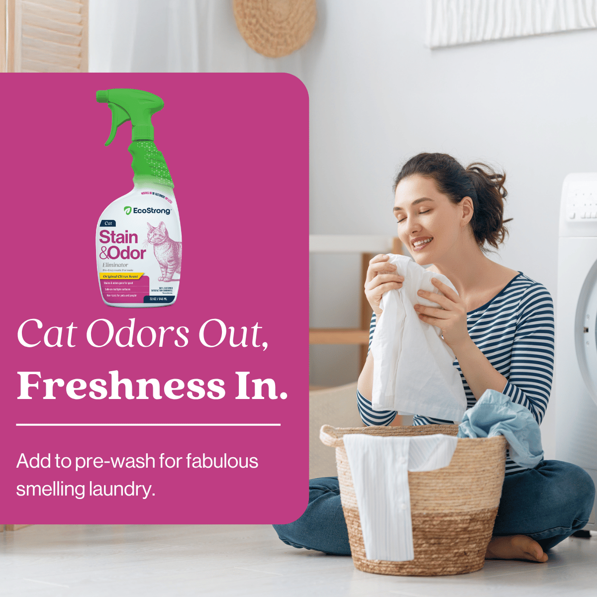Cat Stain and Odor Eliminator