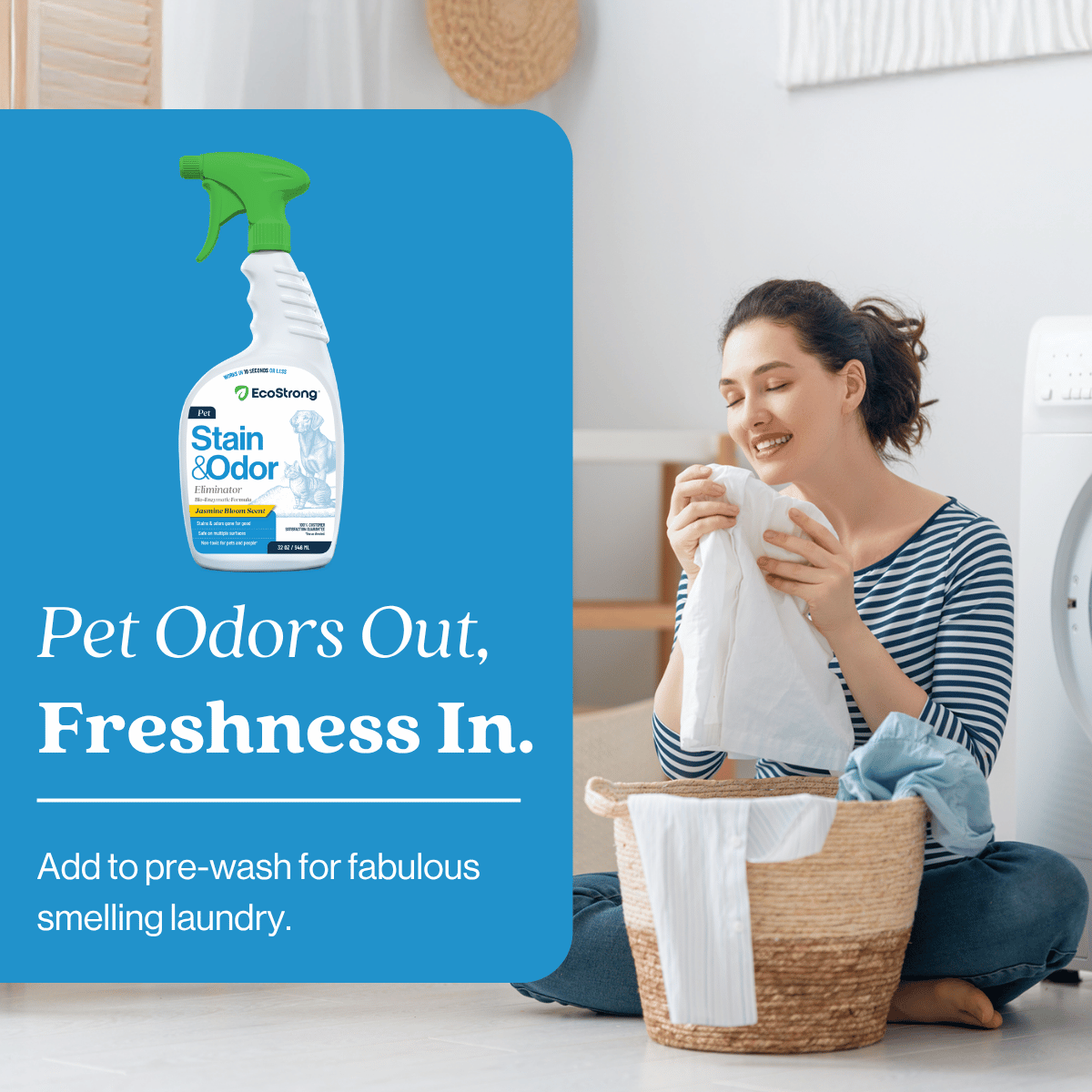Pet Stain and Odor Eliminator