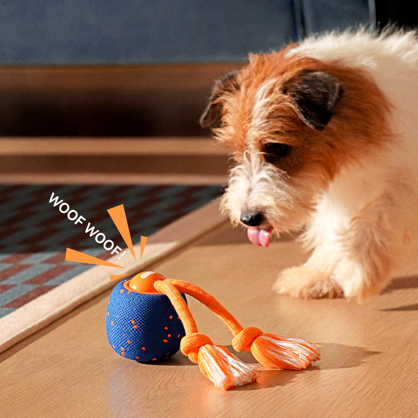 Wicked Ball Rolly