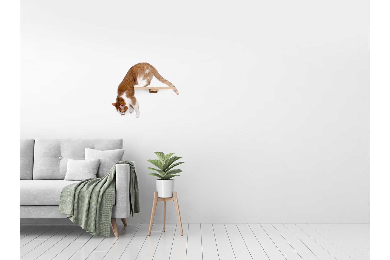 Cat Perch (Shelf) for Wall - by Catastrophic Creations