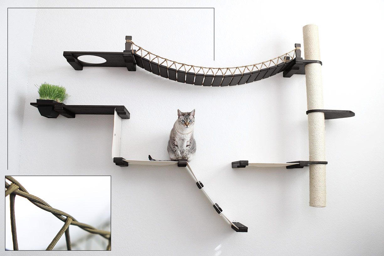 The Expedition Cat Condo (Cat Wall Jungle Gym) - by Catastrophic Creations