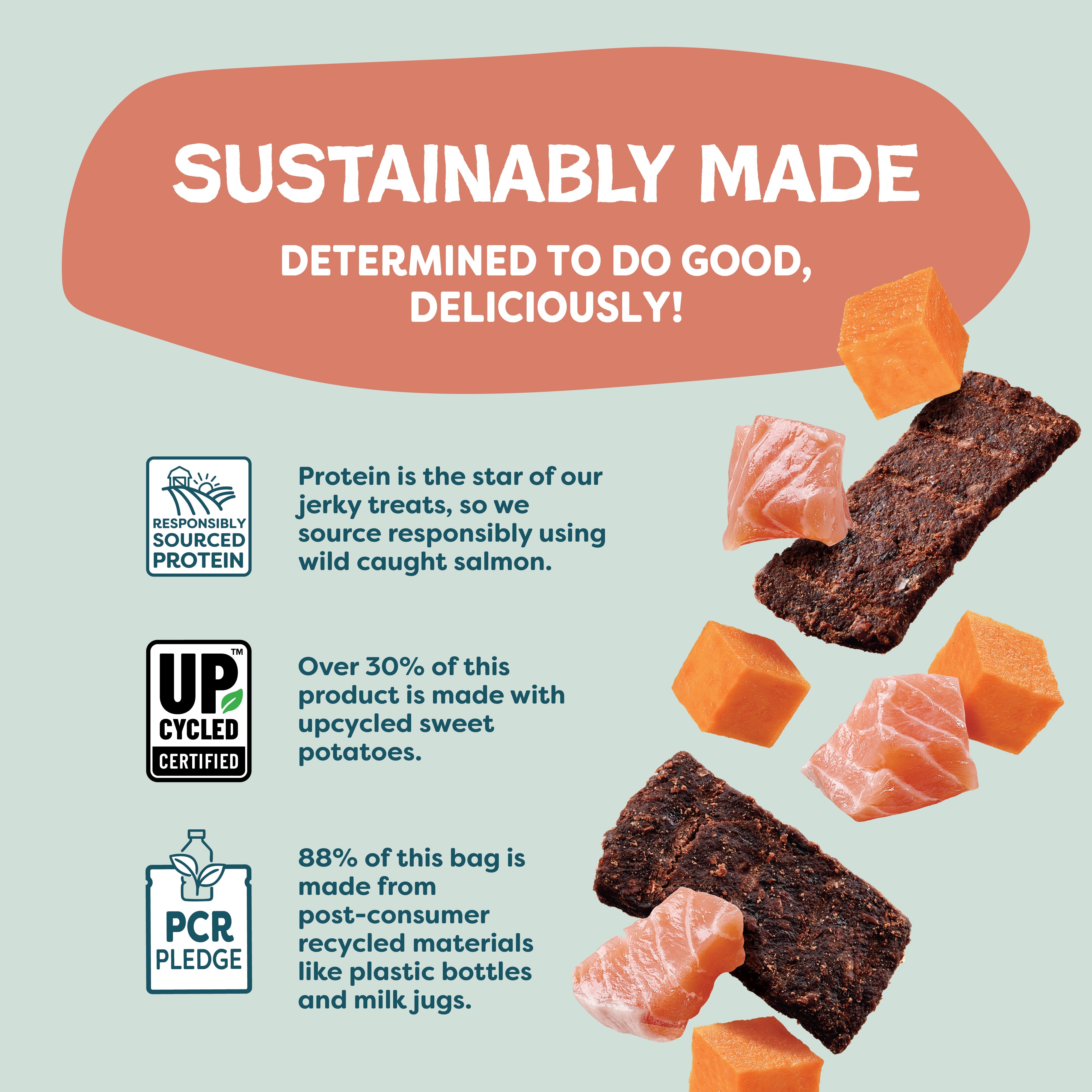 Salmon Loves Butternut Jerky Bites
