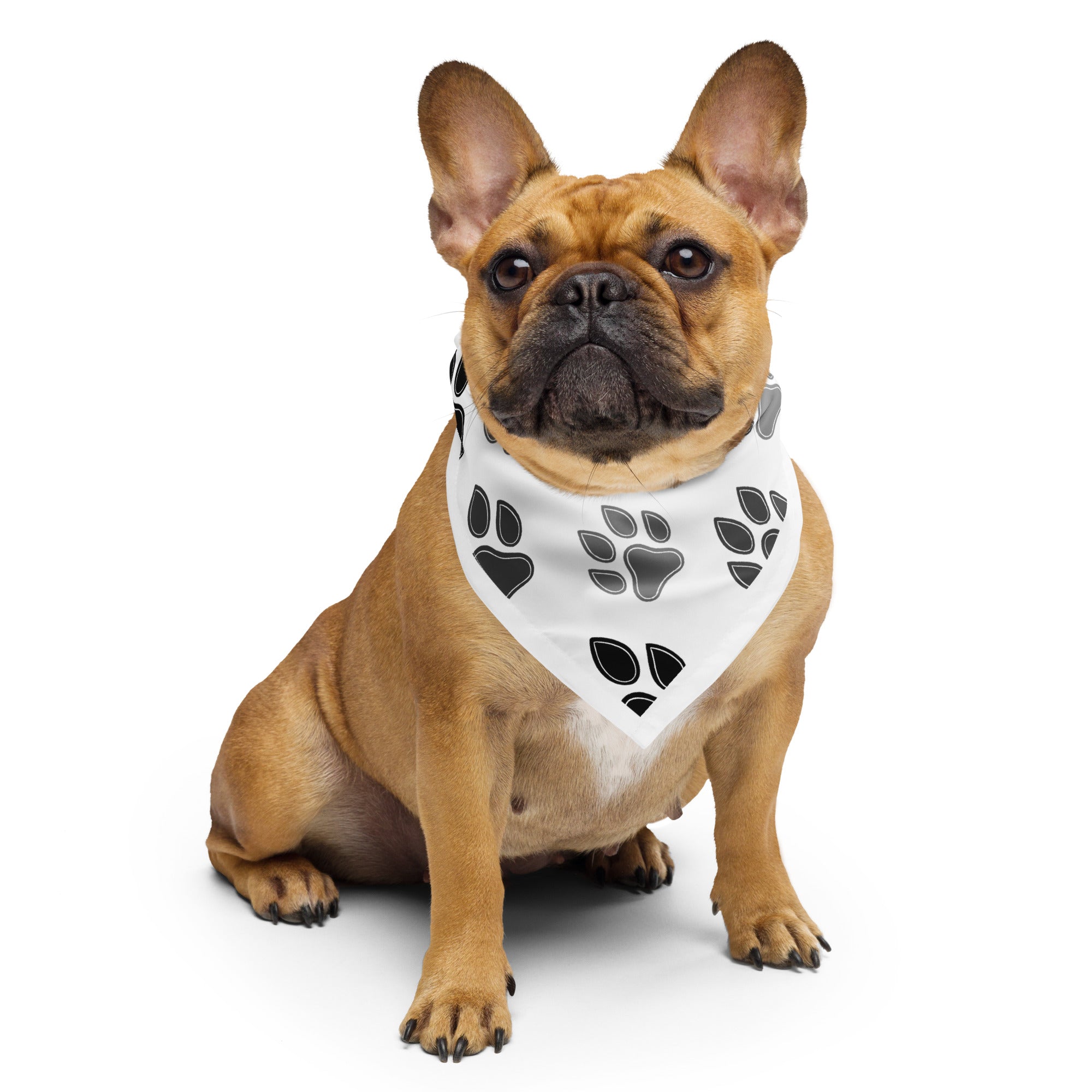 All-Over Paw Print Bandana