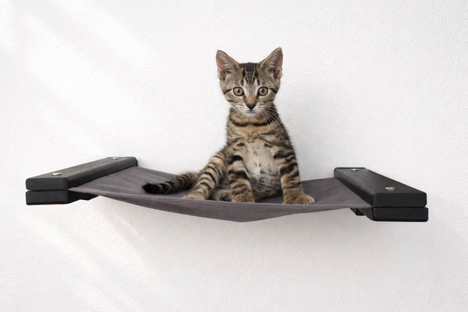 Cat Wall Hammock - Hanging Cat Beds - by Catastrophic Creations