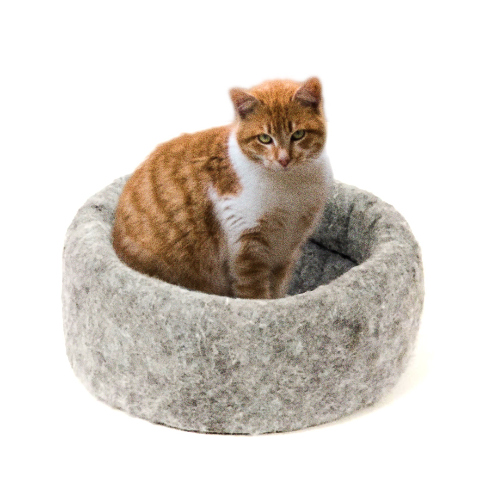 Kitty Kup Cat Bed