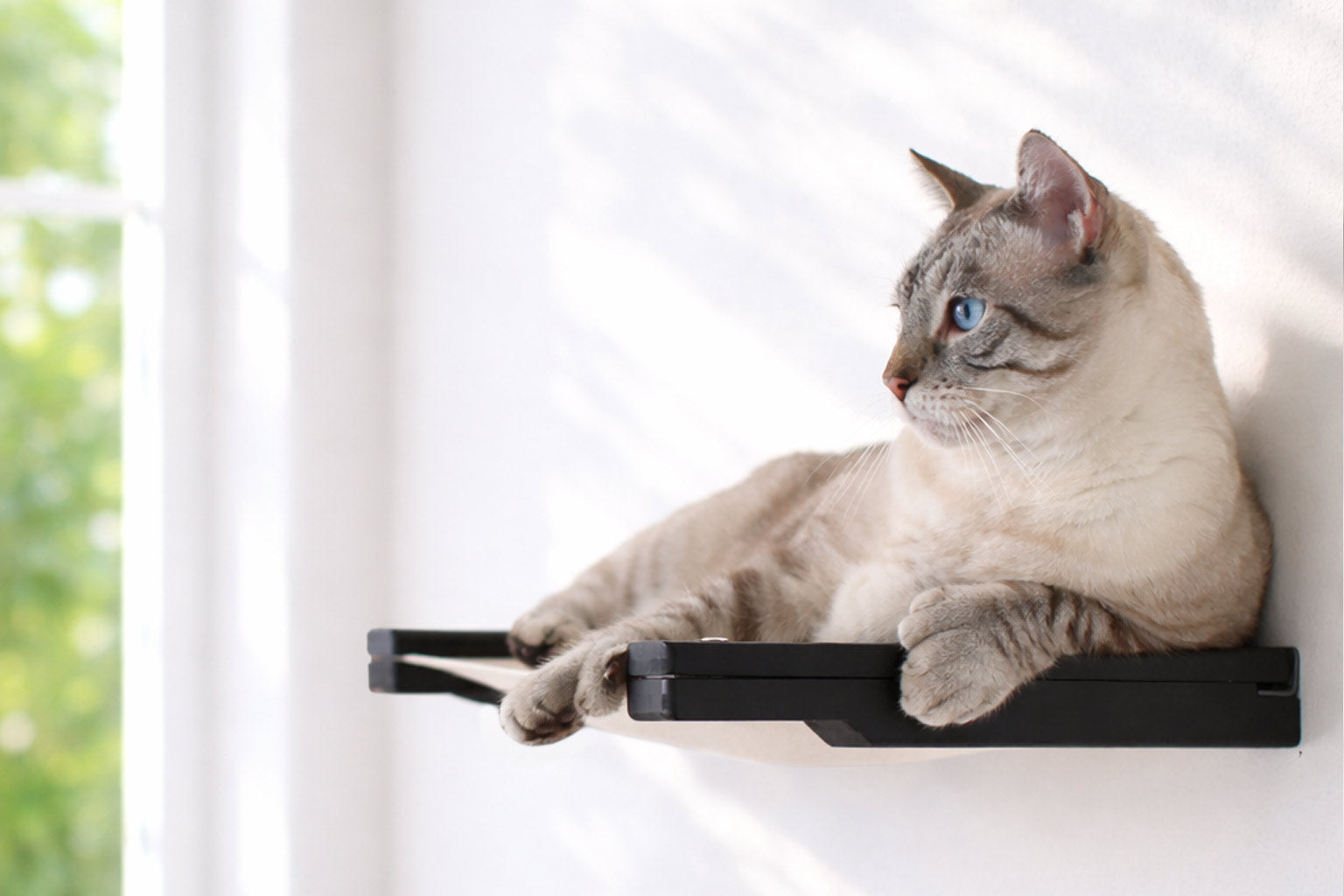 Cat Wall Hammock - Hanging Cat Beds - by Catastrophic Creations