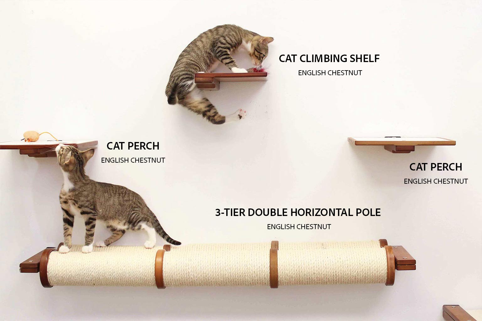 Cat Perch (Shelf) for Wall - by Catastrophic Creations