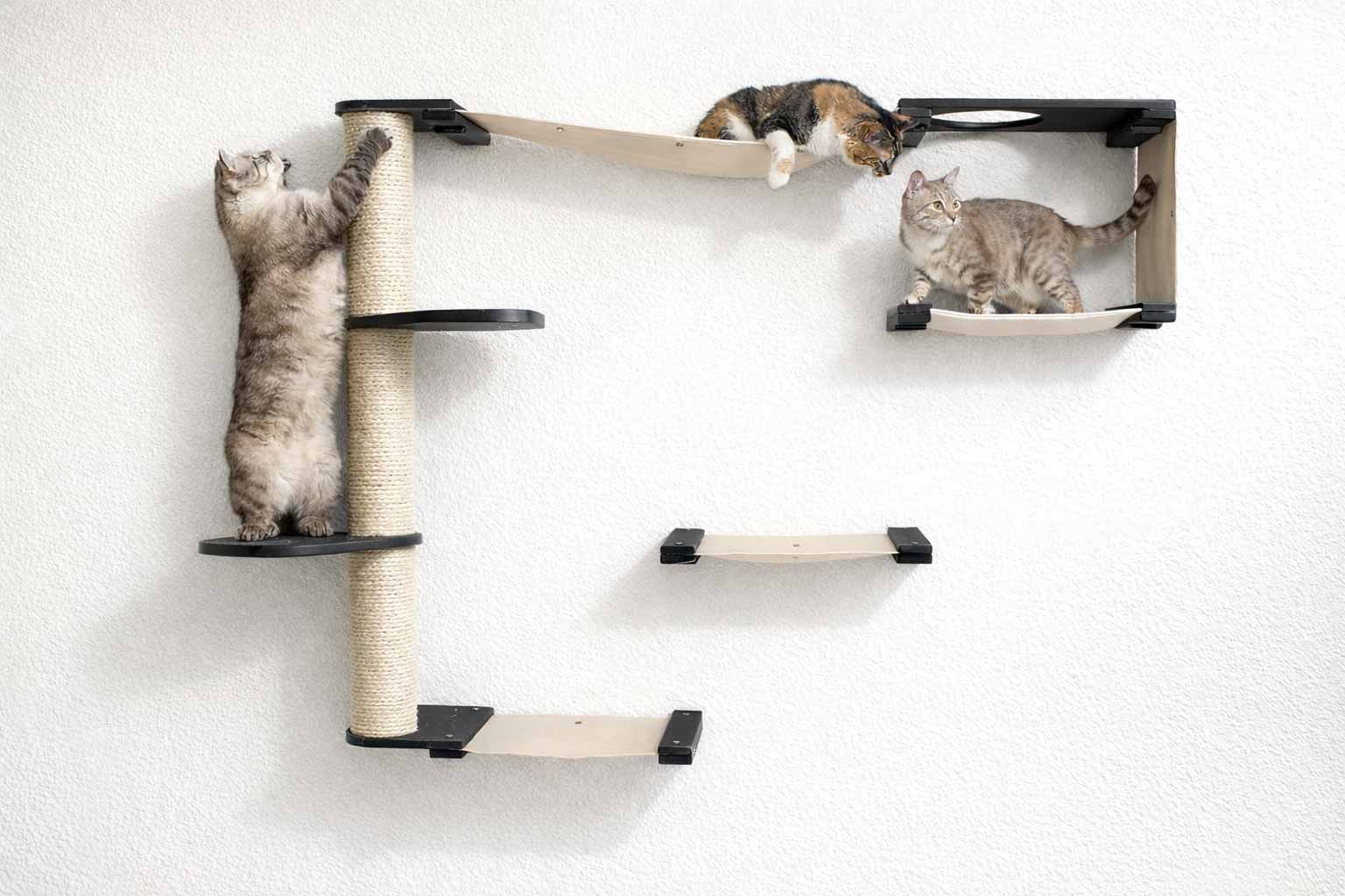 The Climb - Cat Condo (Wall-Mounted) - by Catastrophic Creations