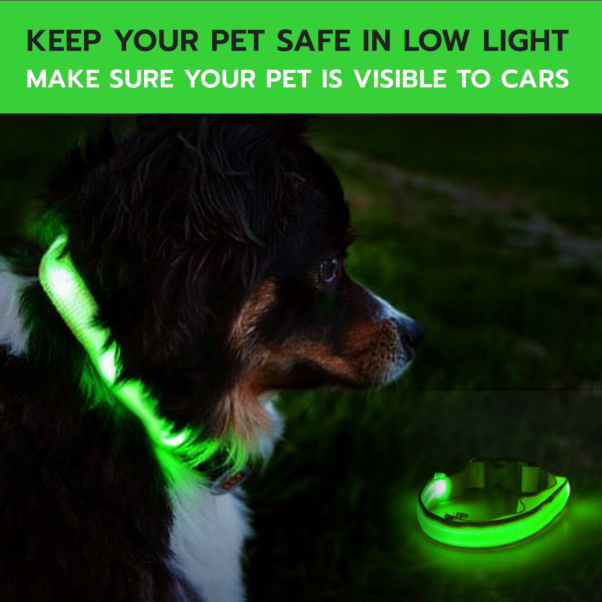 LED Light Up Collar