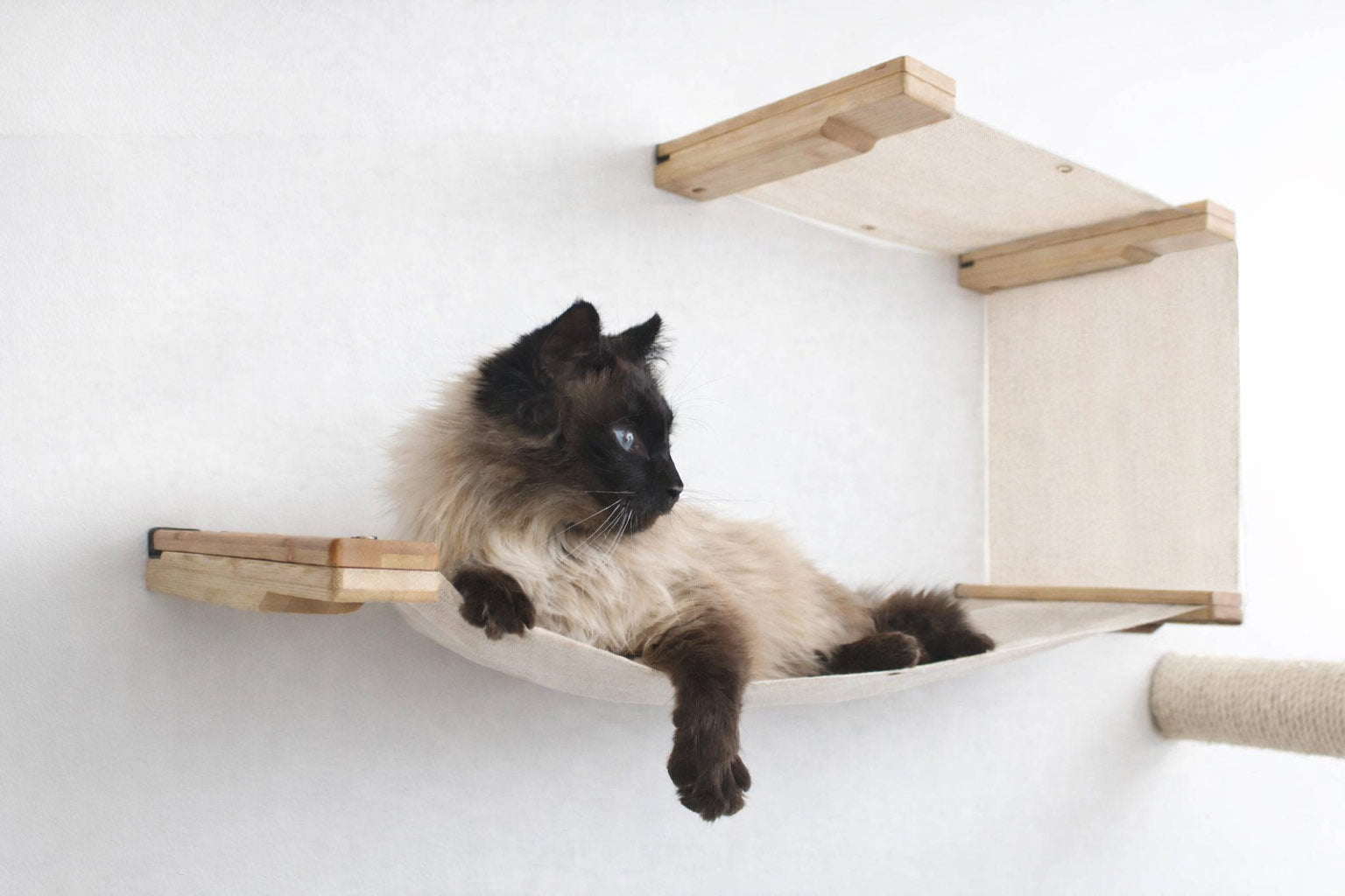 The Double Decker Hanging Cat Hammock Bed - by Catastrophic Creations