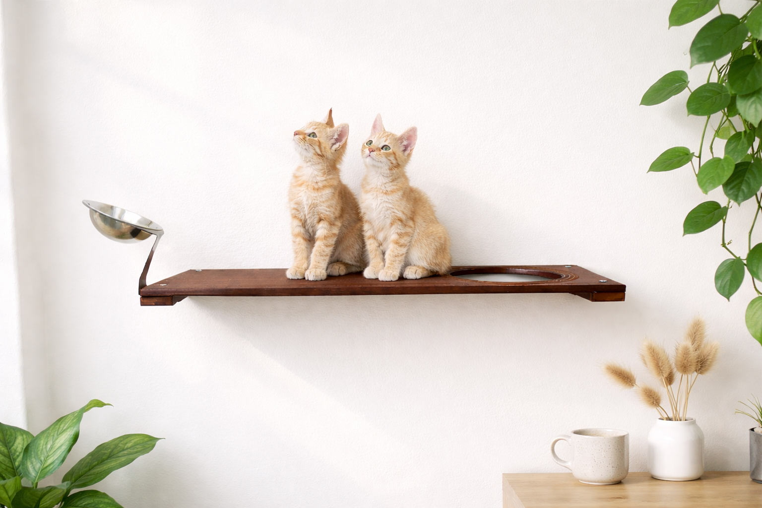 Wall-Mounted Cat Feeding Shelf - by Catastrophic Creations