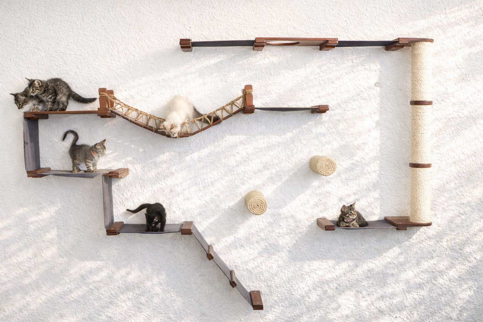 The Juggernaut (Wall-Mounted Cat Tree/Condo) - by Catastrophic Creations