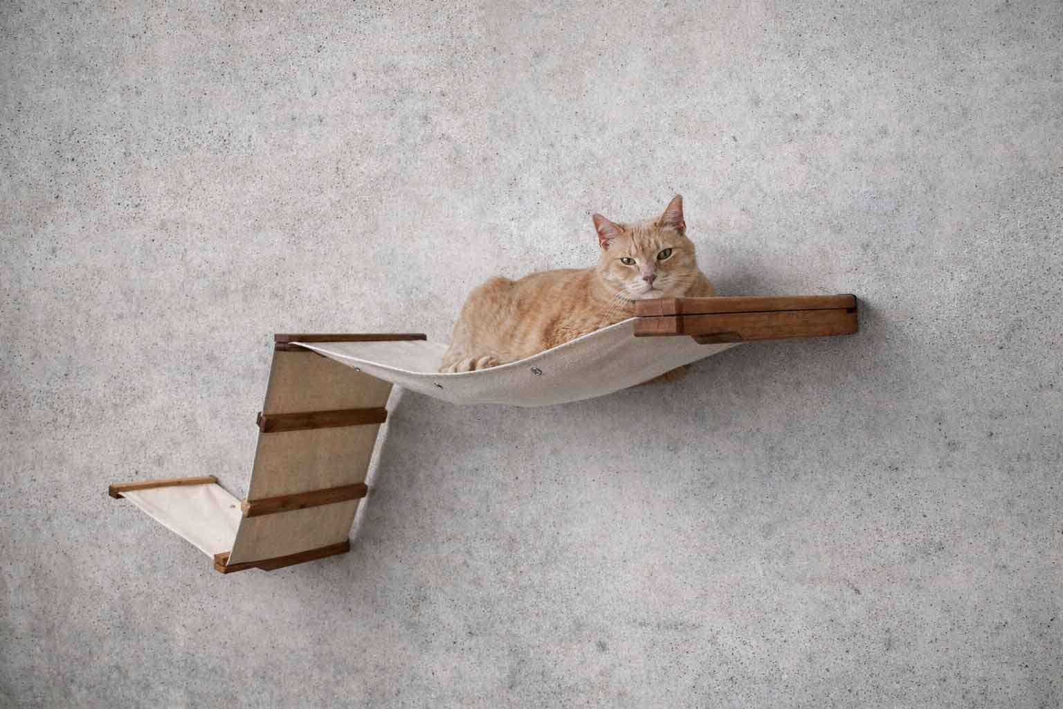 Raceway Hammock - Cat Wall Ramp - by Catastrophic Creations