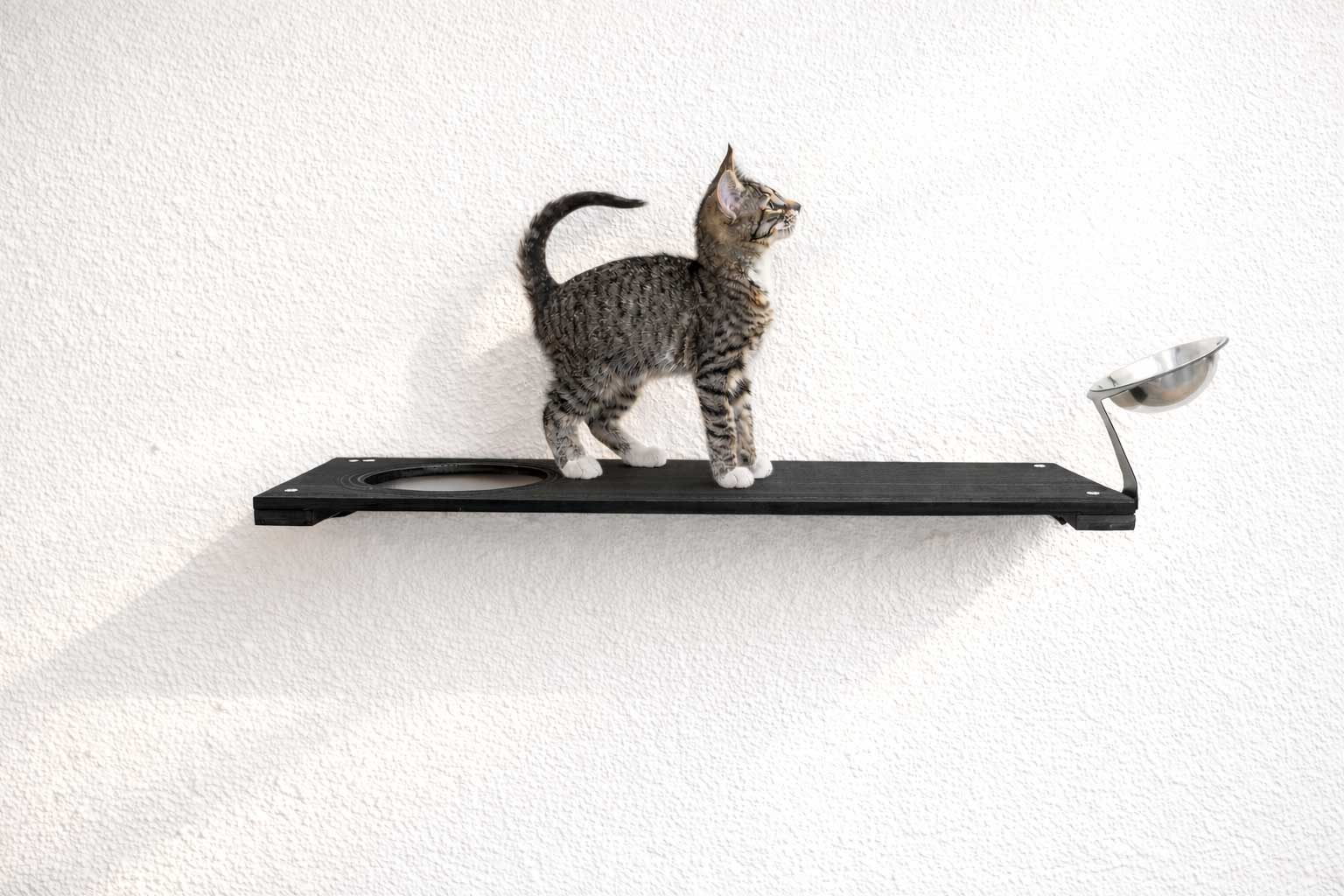 Wall-Mounted Cat Feeding Shelf - by Catastrophic Creations