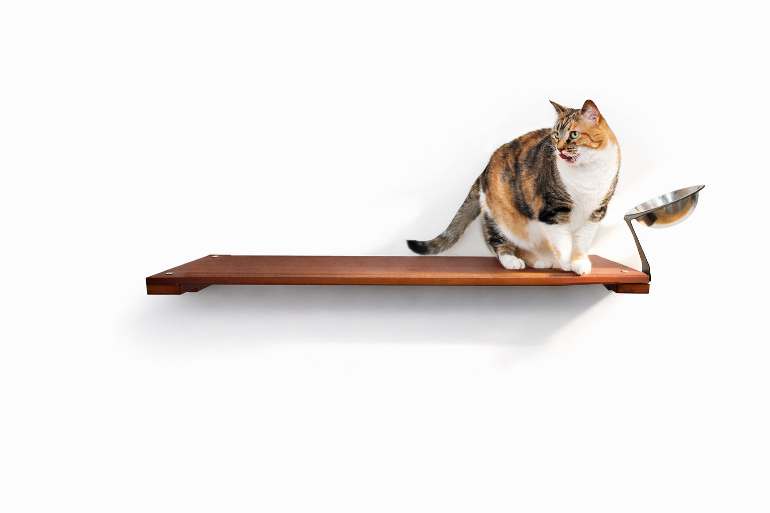 Wall-Mounted Cat Feeding Shelf - by Catastrophic Creations