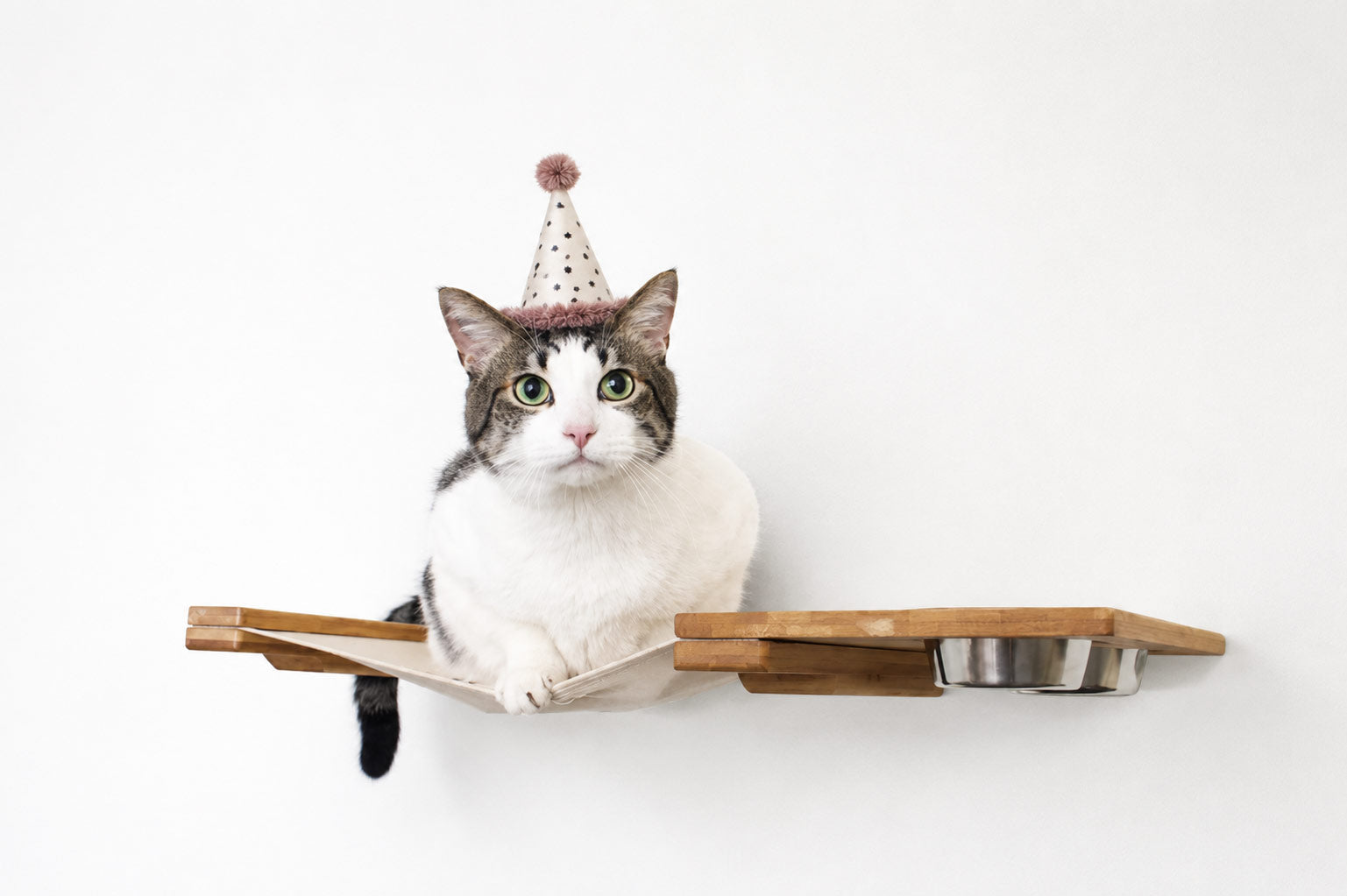 Wall Feeder Cat Hammock : Raised Cat Feeder - by Catastrophic Creations