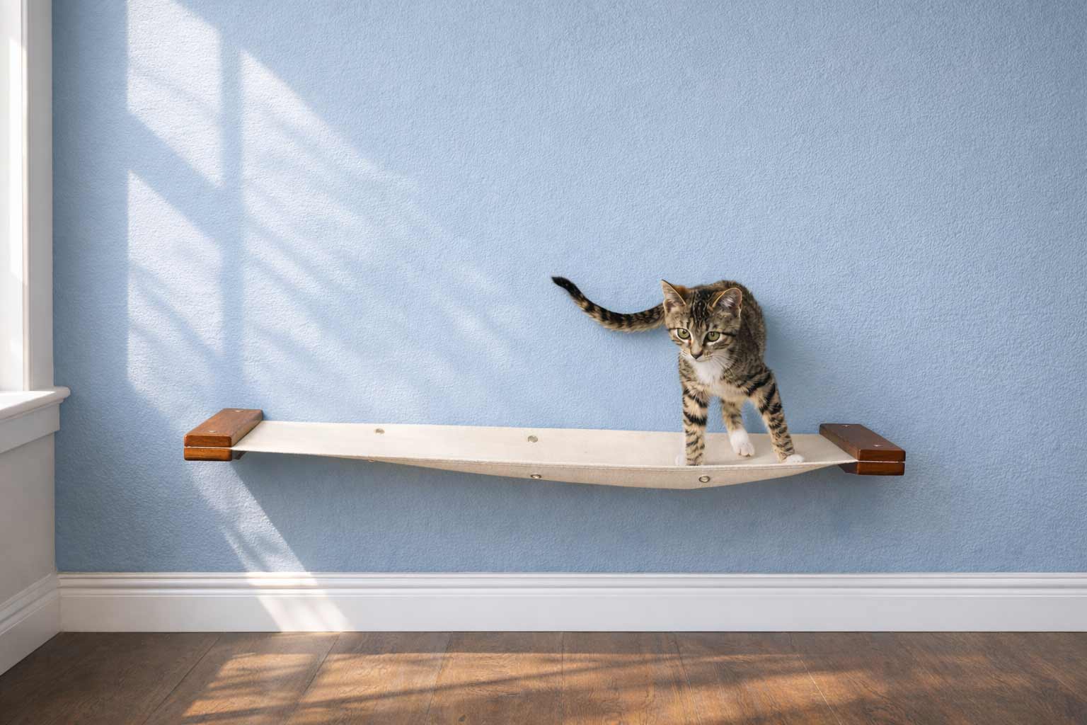 Cat Wall Hammock - Hanging Cat Beds - by Catastrophic Creations