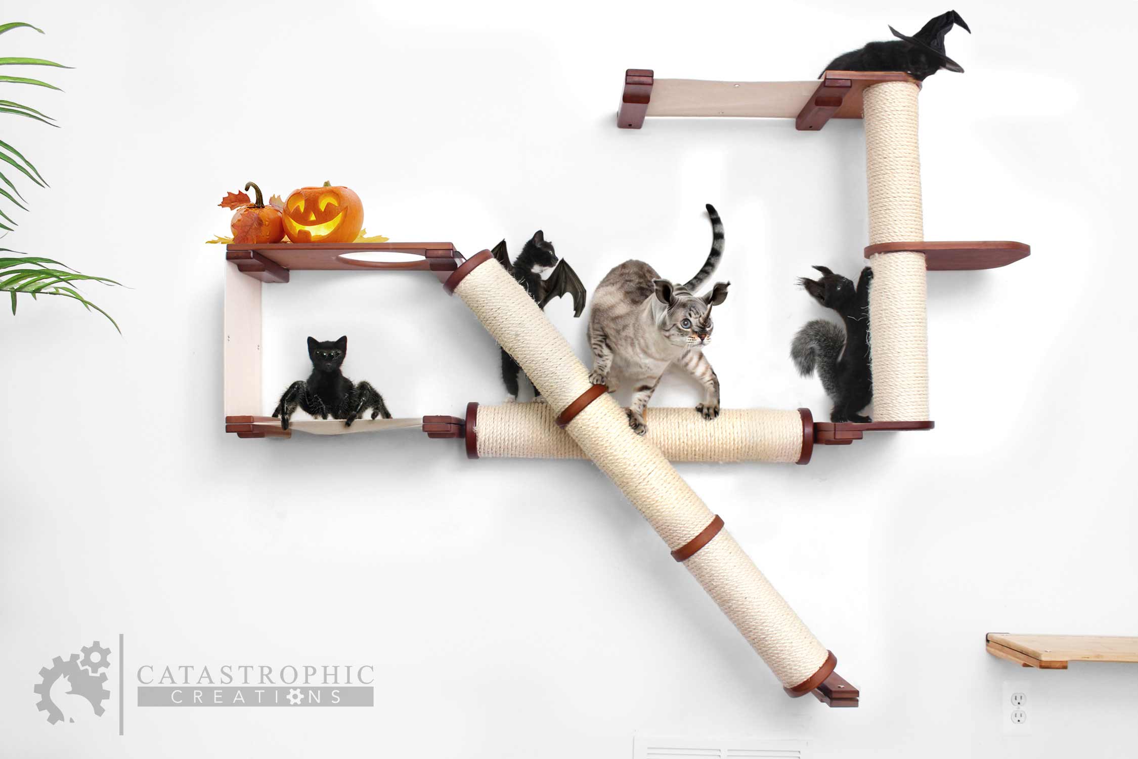 The Crossroads Wall Cat Scratcher - Cat Tree Condo - by Catastrophic Creations